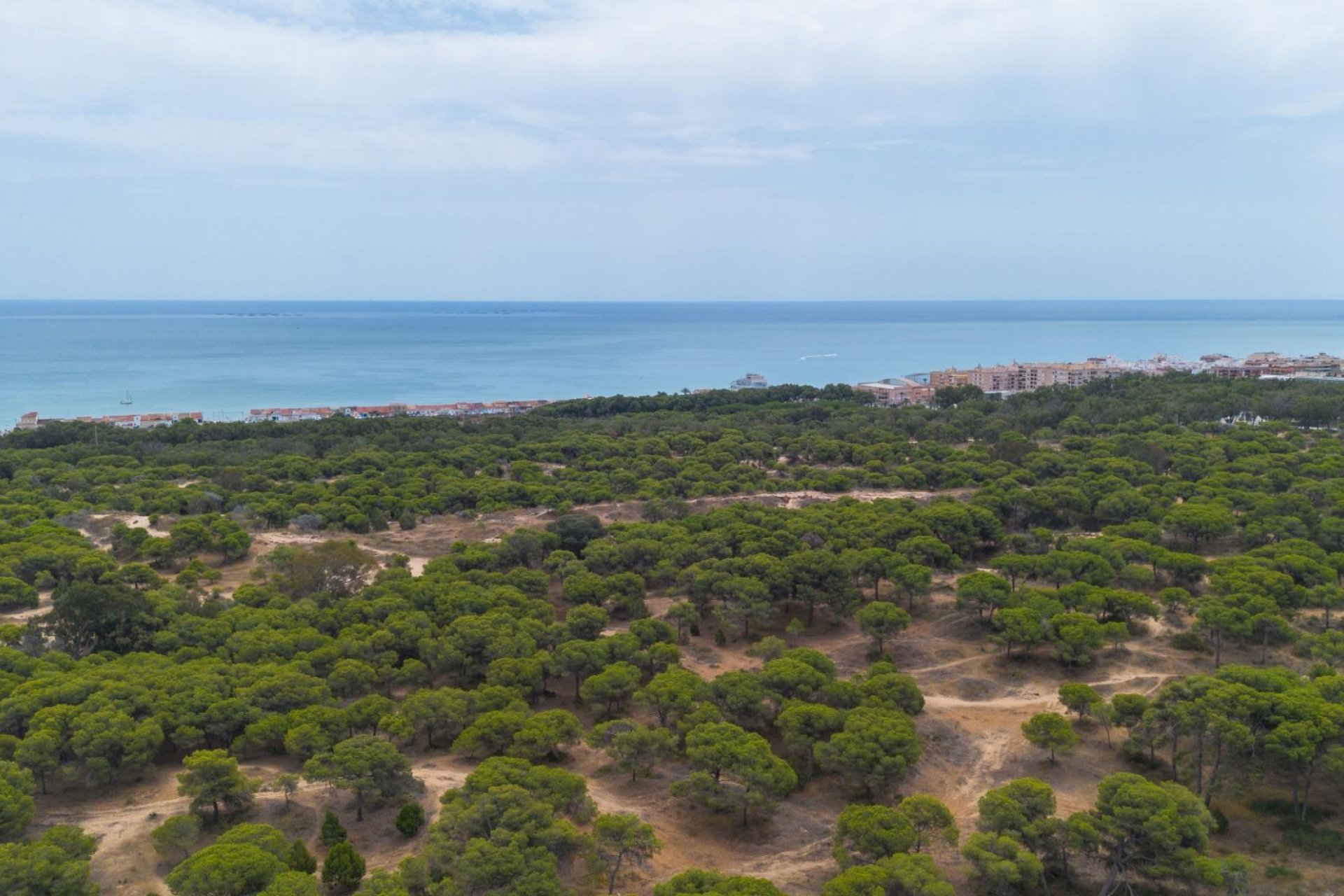 Resale - Apartment / flat -
Guardamar del Segura - CENTRO