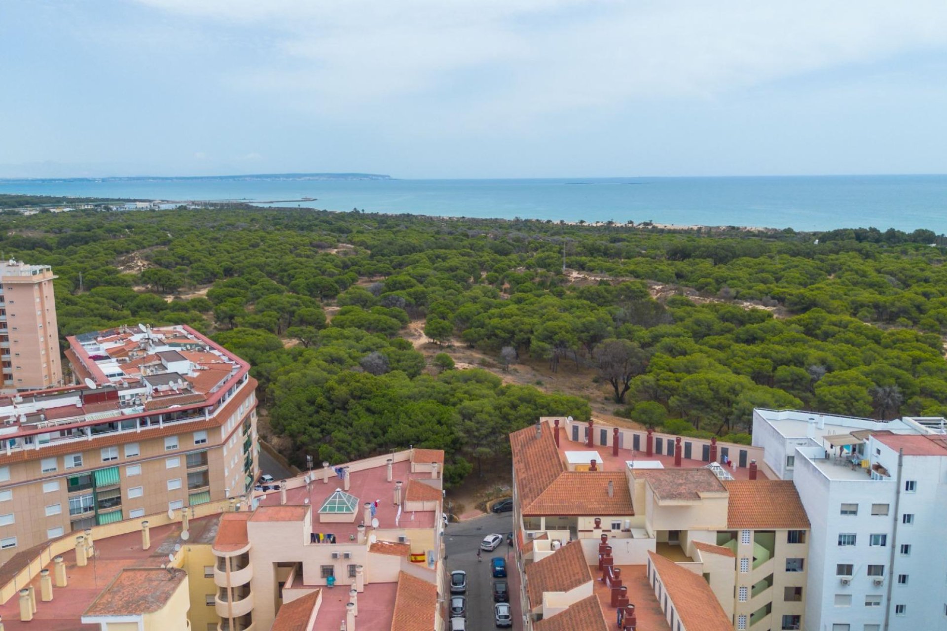 Resale - Apartment / flat -
Guardamar del Segura - CENTRO