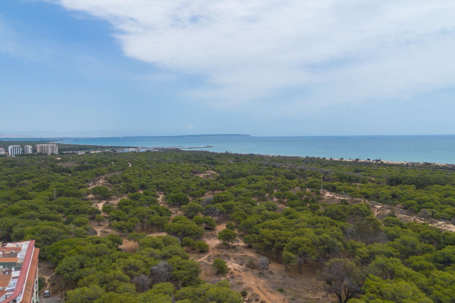 Resale - Apartment / flat -
Guardamar del Segura - CENTRO