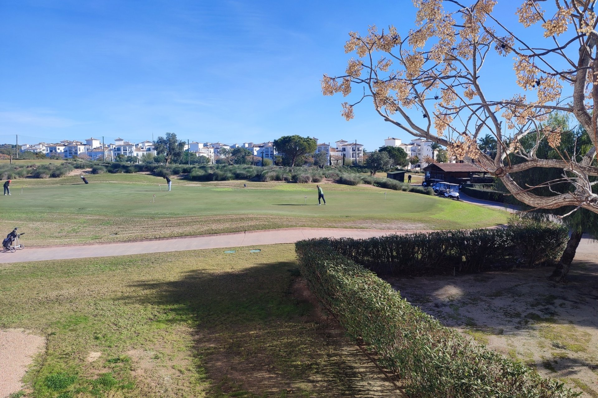 Resale - Apartment / flat -
Hacienda Riquelme Golf Resort - Hacienda Riquelme Golf Resort - Centre