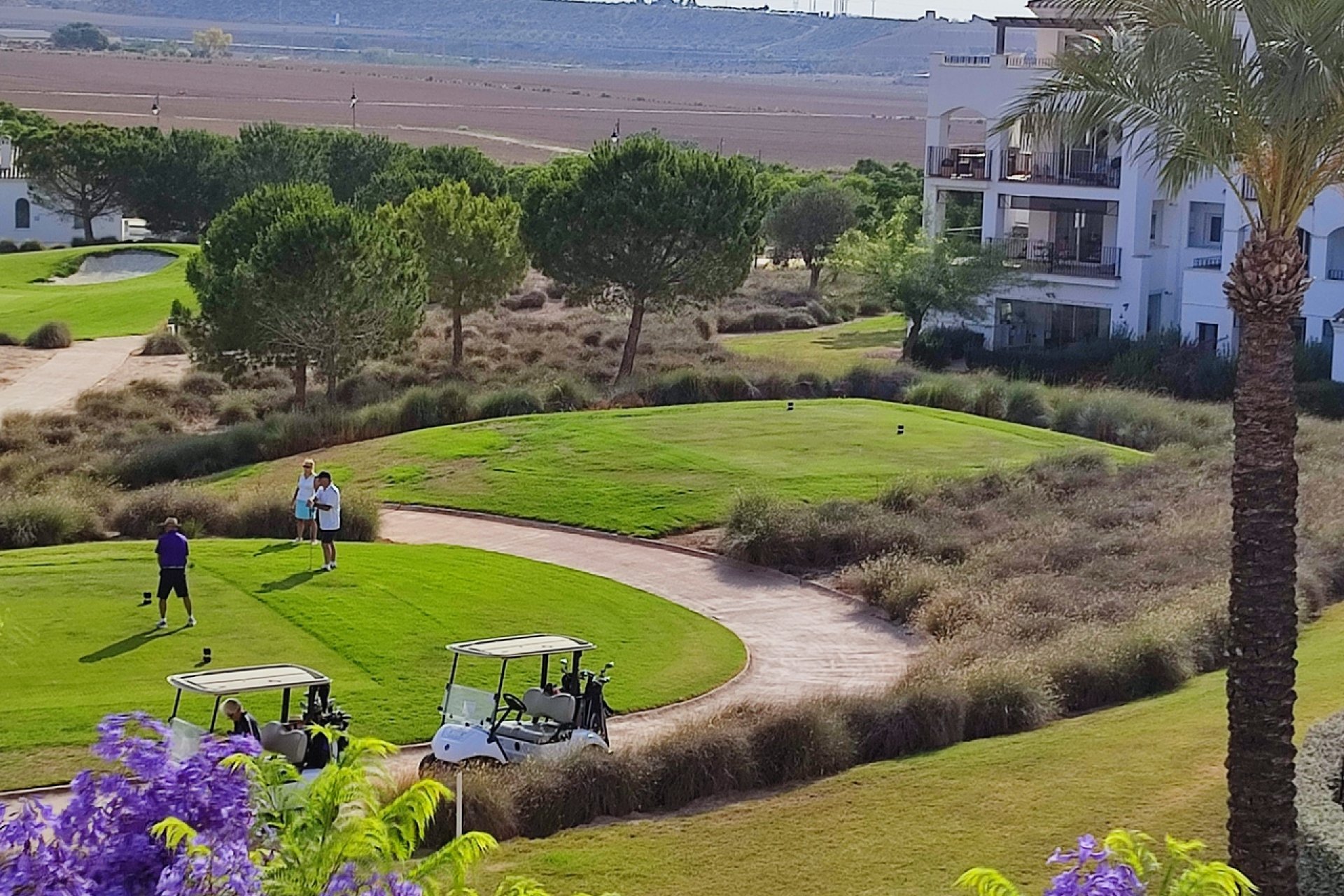 Resale - Apartment / flat -
Hacienda Riquelme Golf Resort - Hacienda Riquelme Golf Resort - Centre