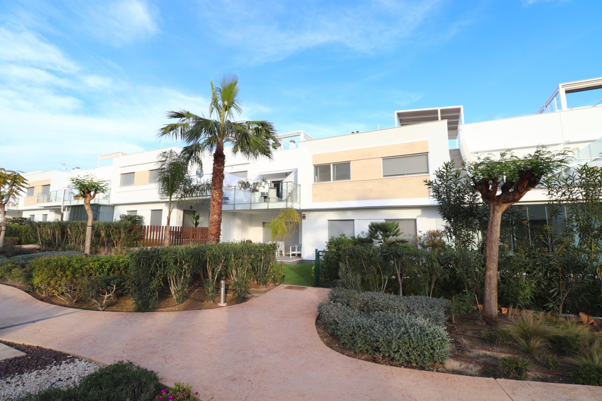 Resale - Apartment / flat -
Los Montesinos - Entre Naranjos / Vistabella Golf