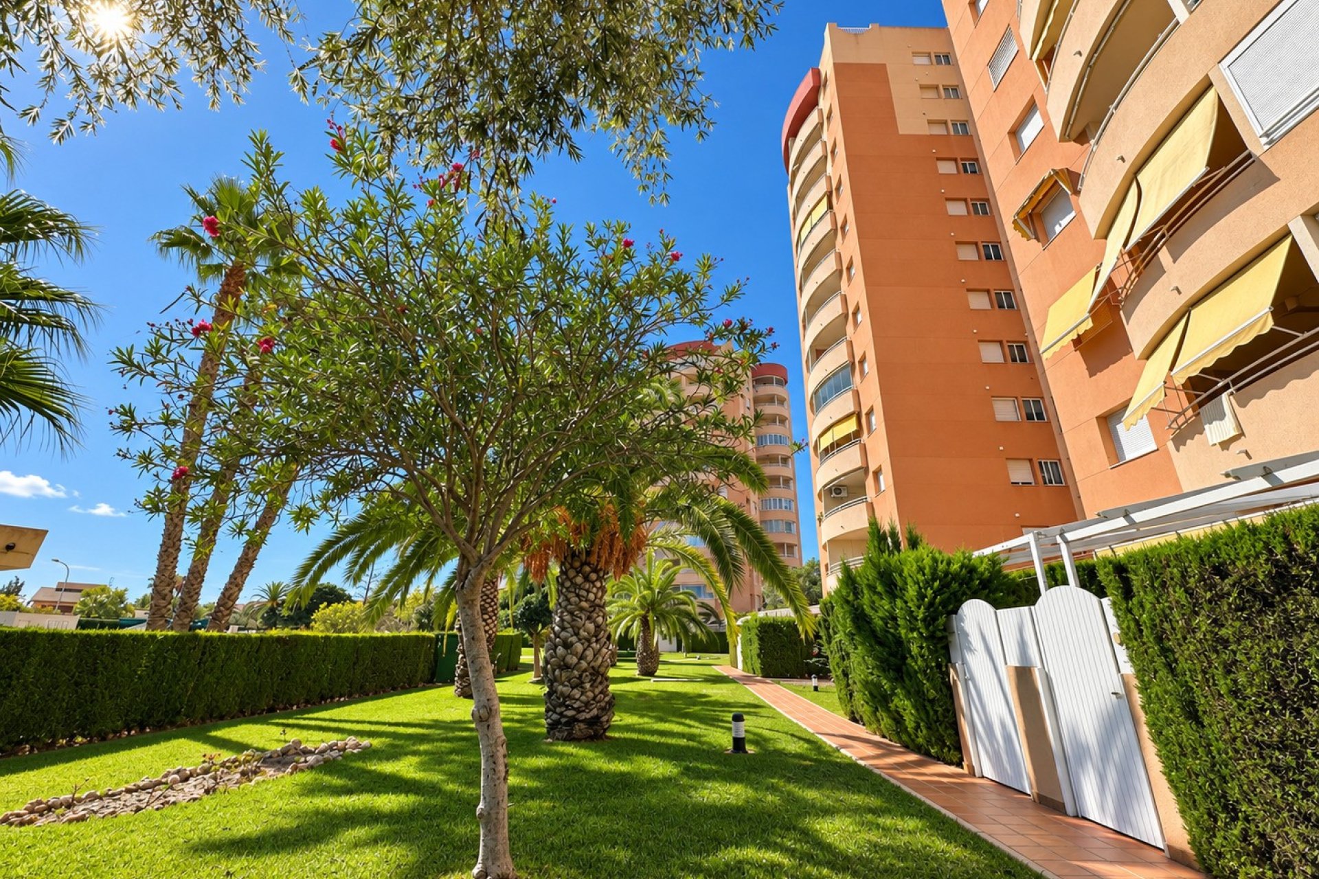 Resale - Apartment / flat -
Orihuela Costa - Dehesa de Campoamor