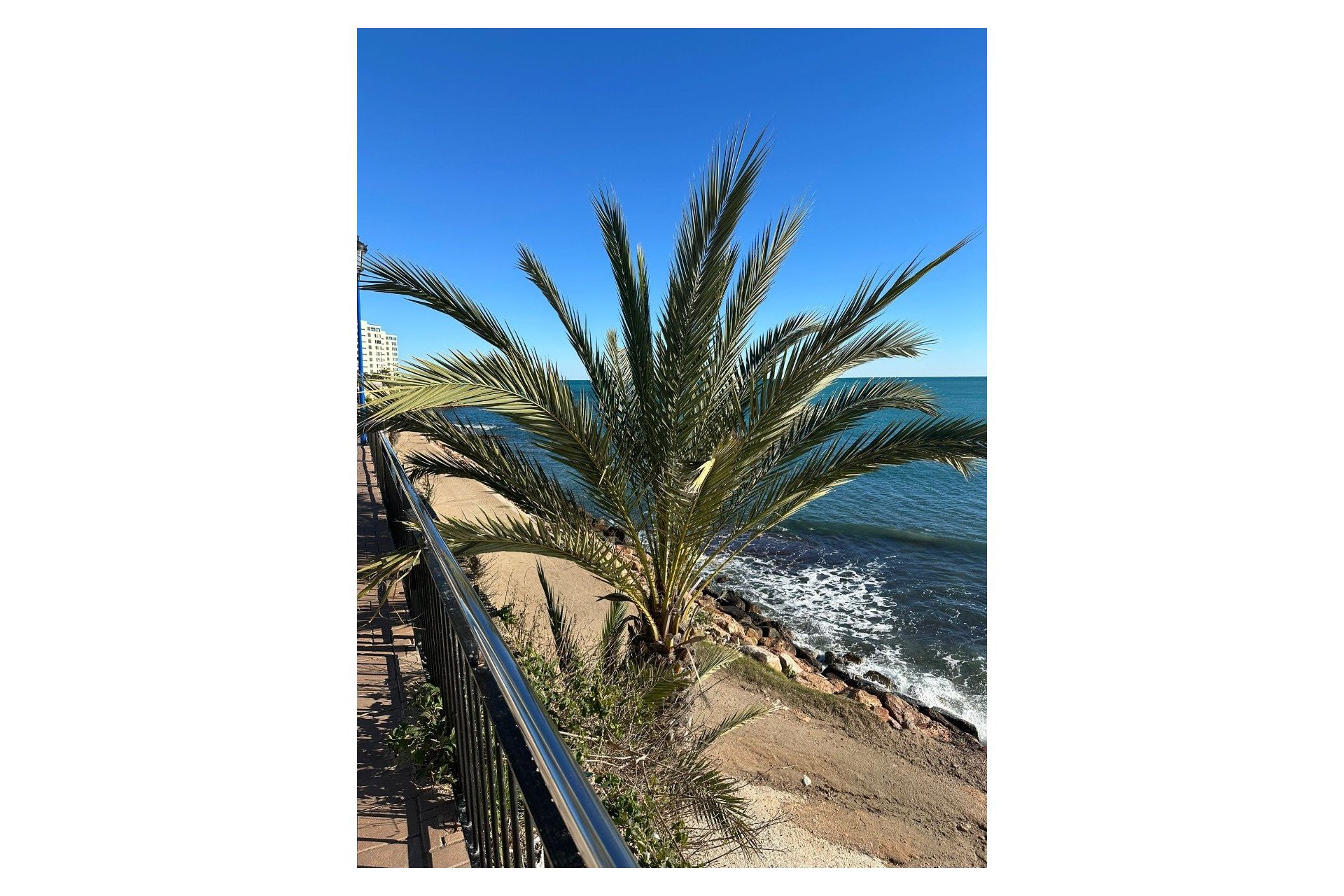 Resale - Apartment / flat -
Orihuela Costa - Las Ramblas