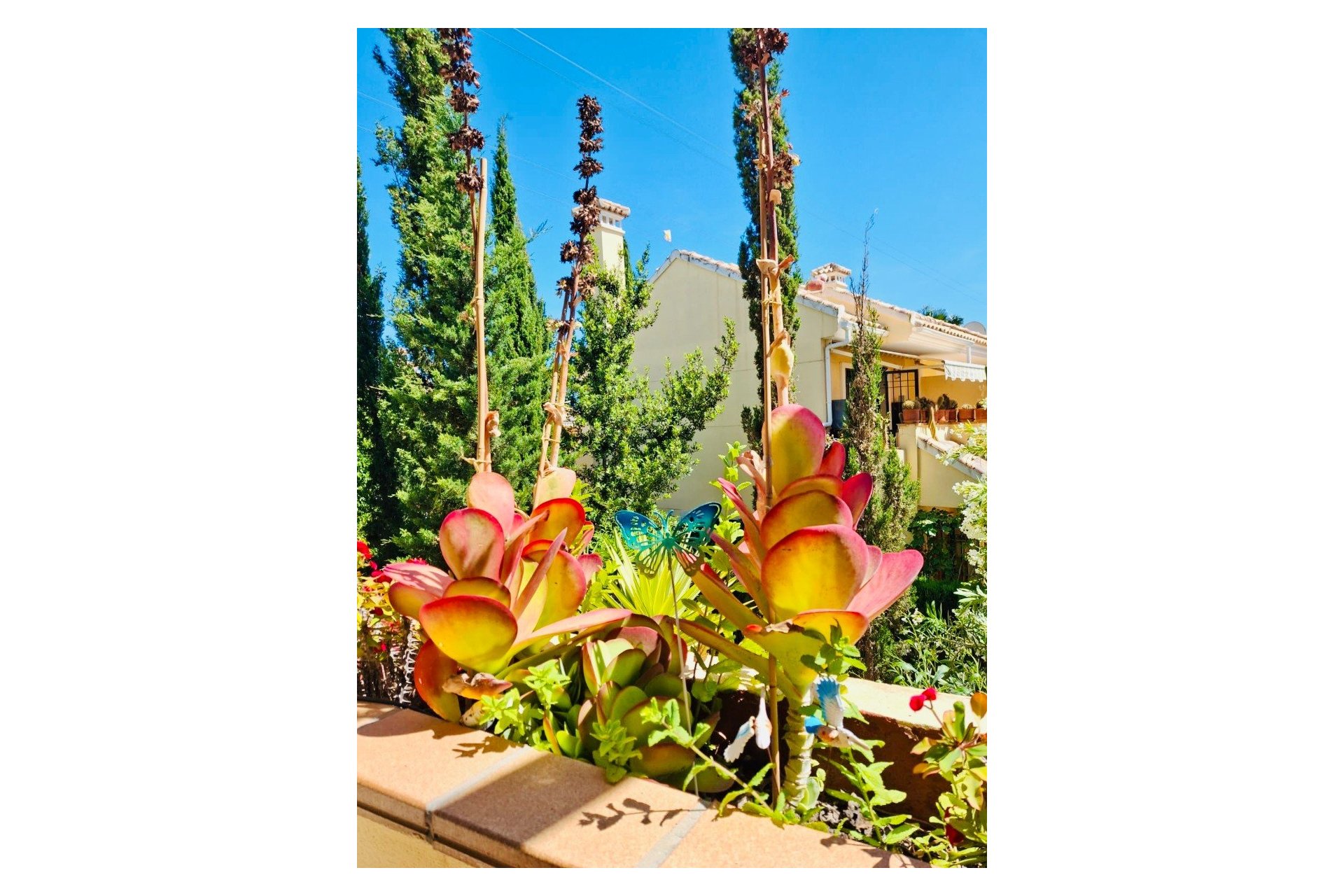 Resale - Apartment / flat -
Orihuela Costa - Lomas de Campoamor