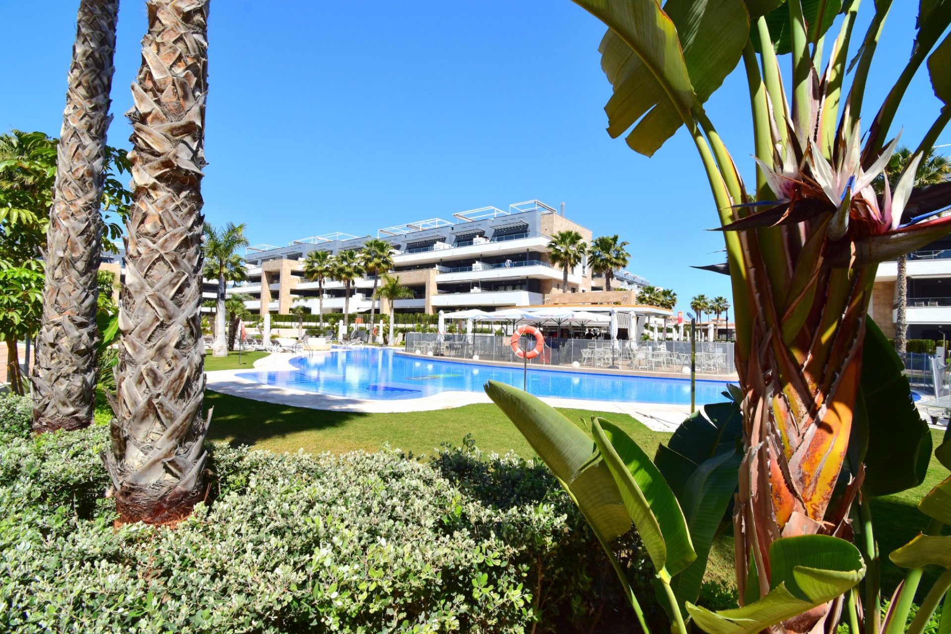 Resale - Apartment / flat -
Orihuela Costa - Playa Flamenca