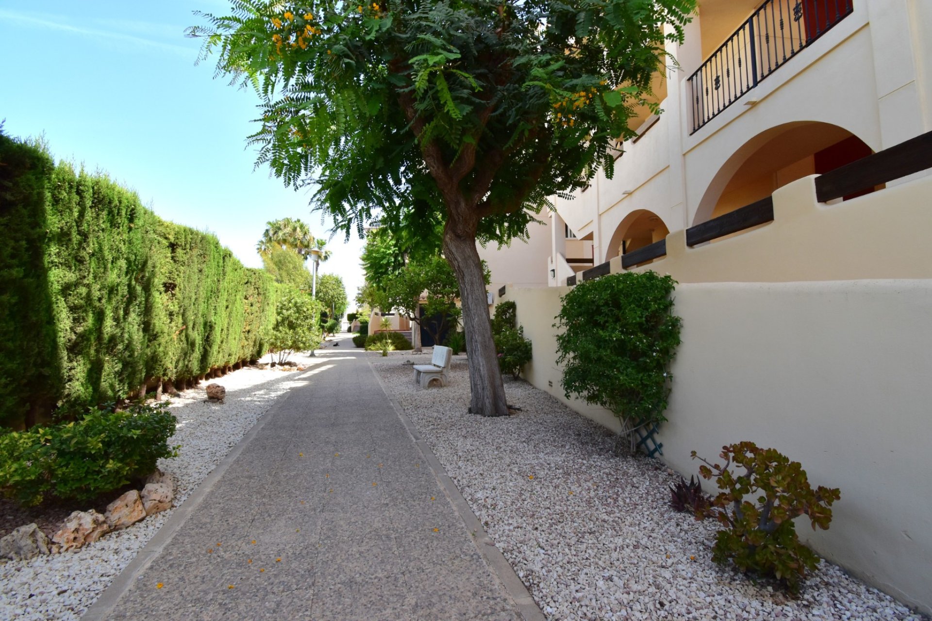 Resale - Apartment / flat -
Orihuela Costa - Playa Flamenca