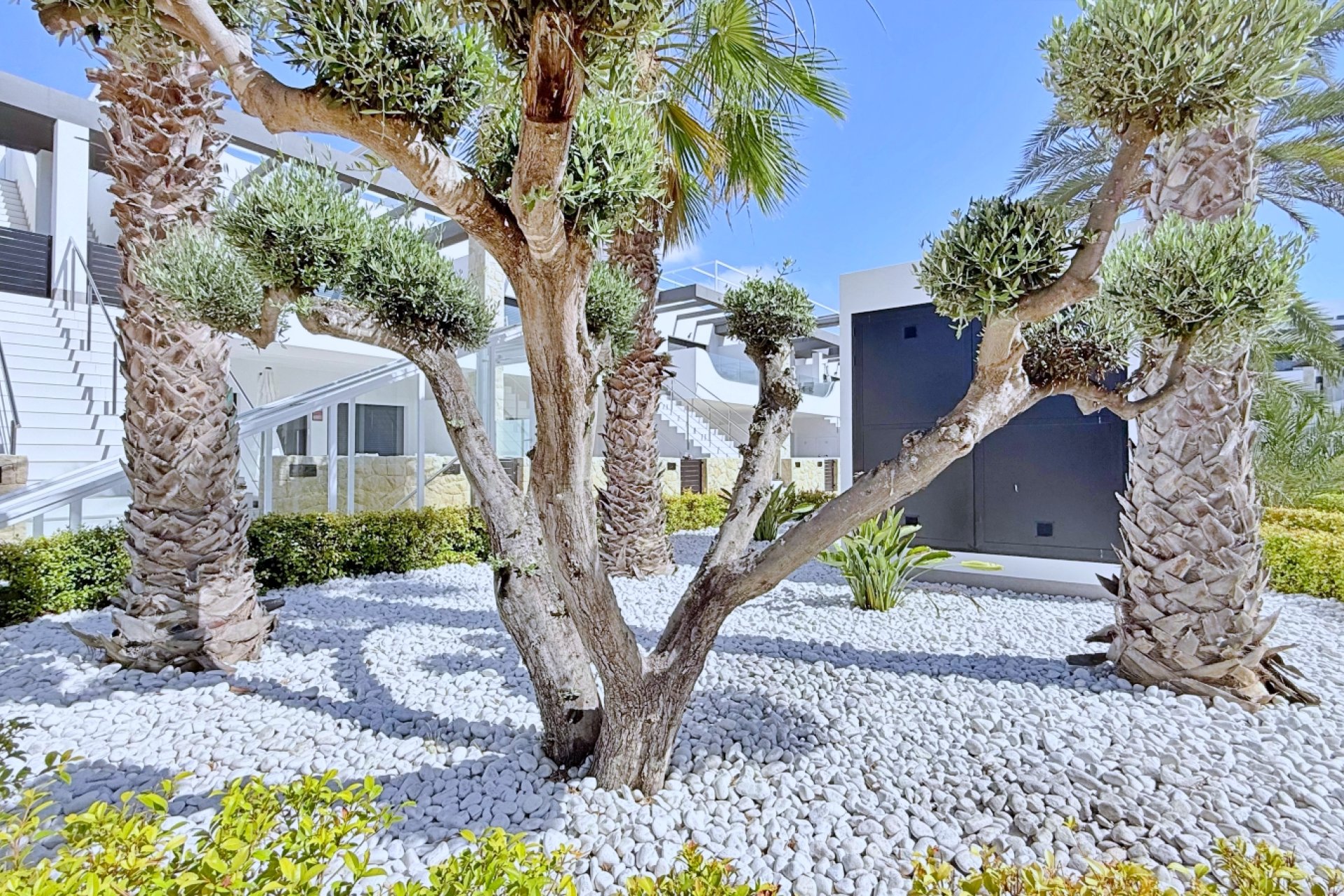 Resale - Apartment / flat -
Orihuela Costa - Punta Prima