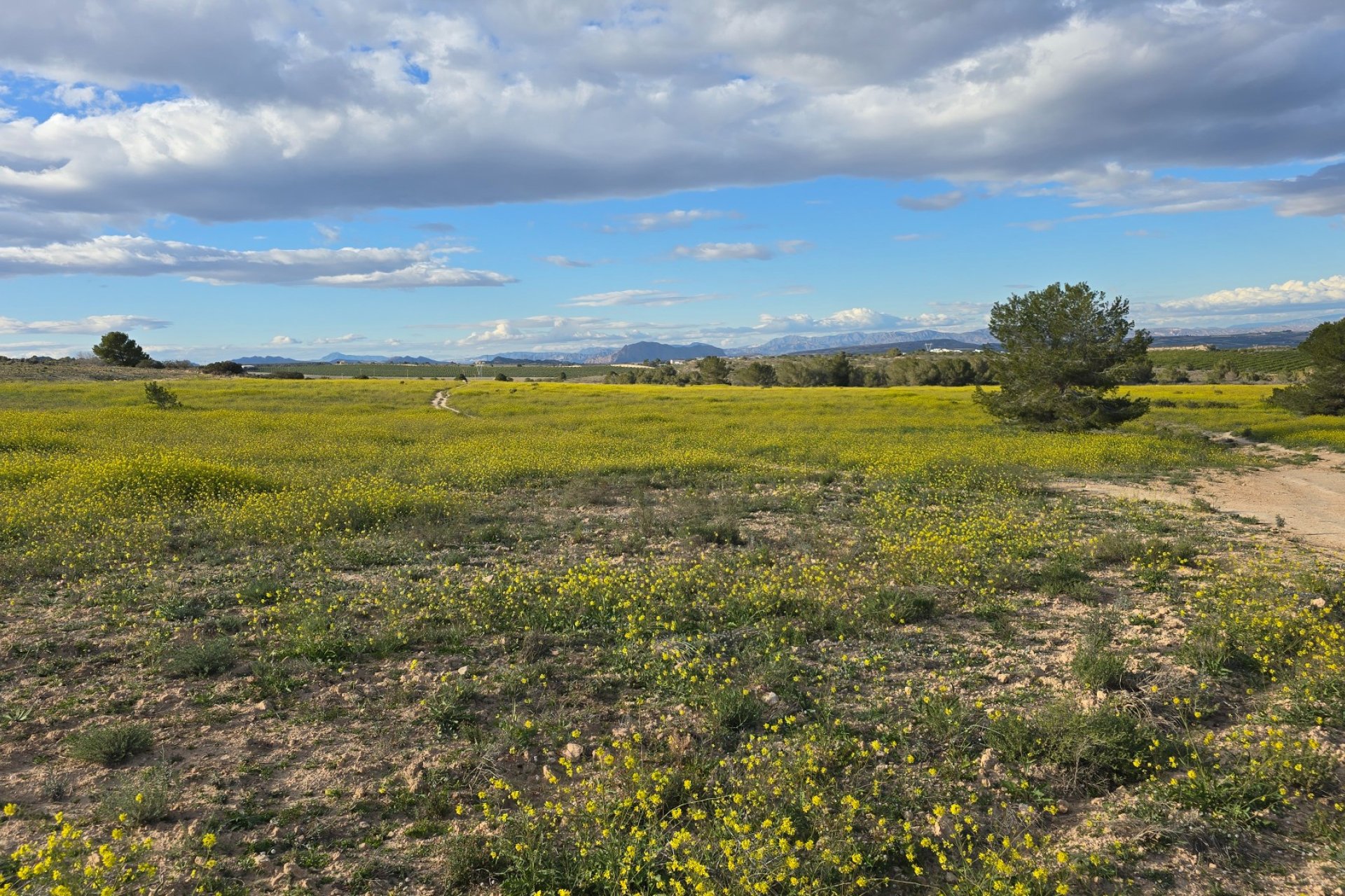 Resale - Apartment / flat -
Orihuela Costa - Villamartin