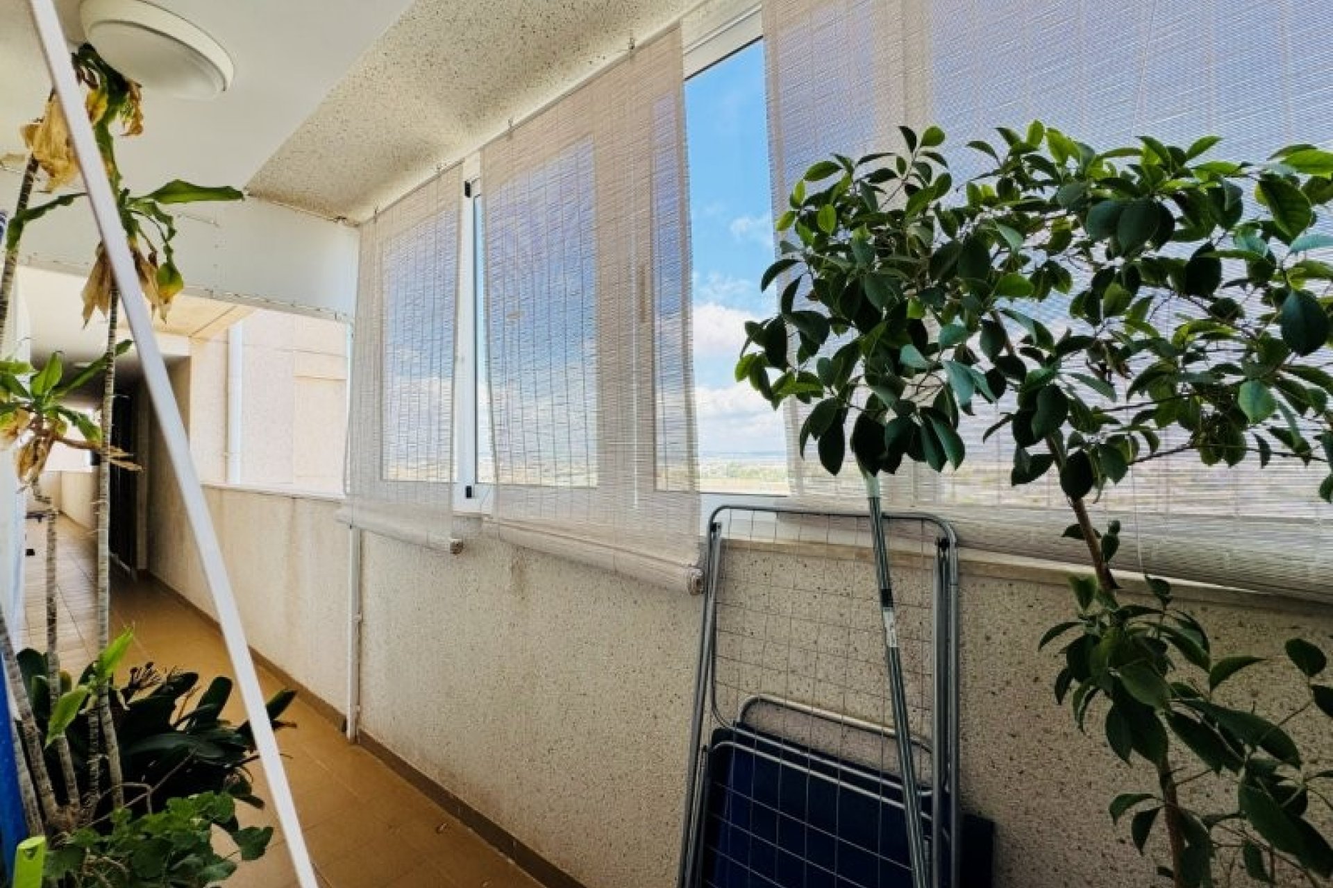 Resale - Apartment / flat -
Torrevieja - Aguas nuevas 1