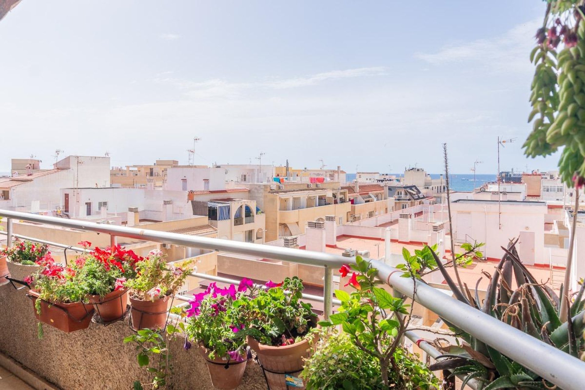Resale - Apartment / flat -
Torrevieja - Centro