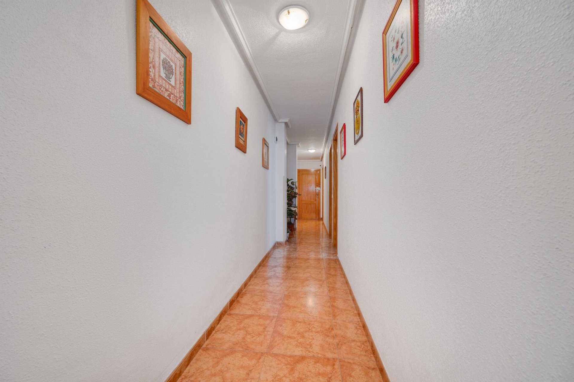 Resale - Apartment / flat -
Torrevieja - Centro