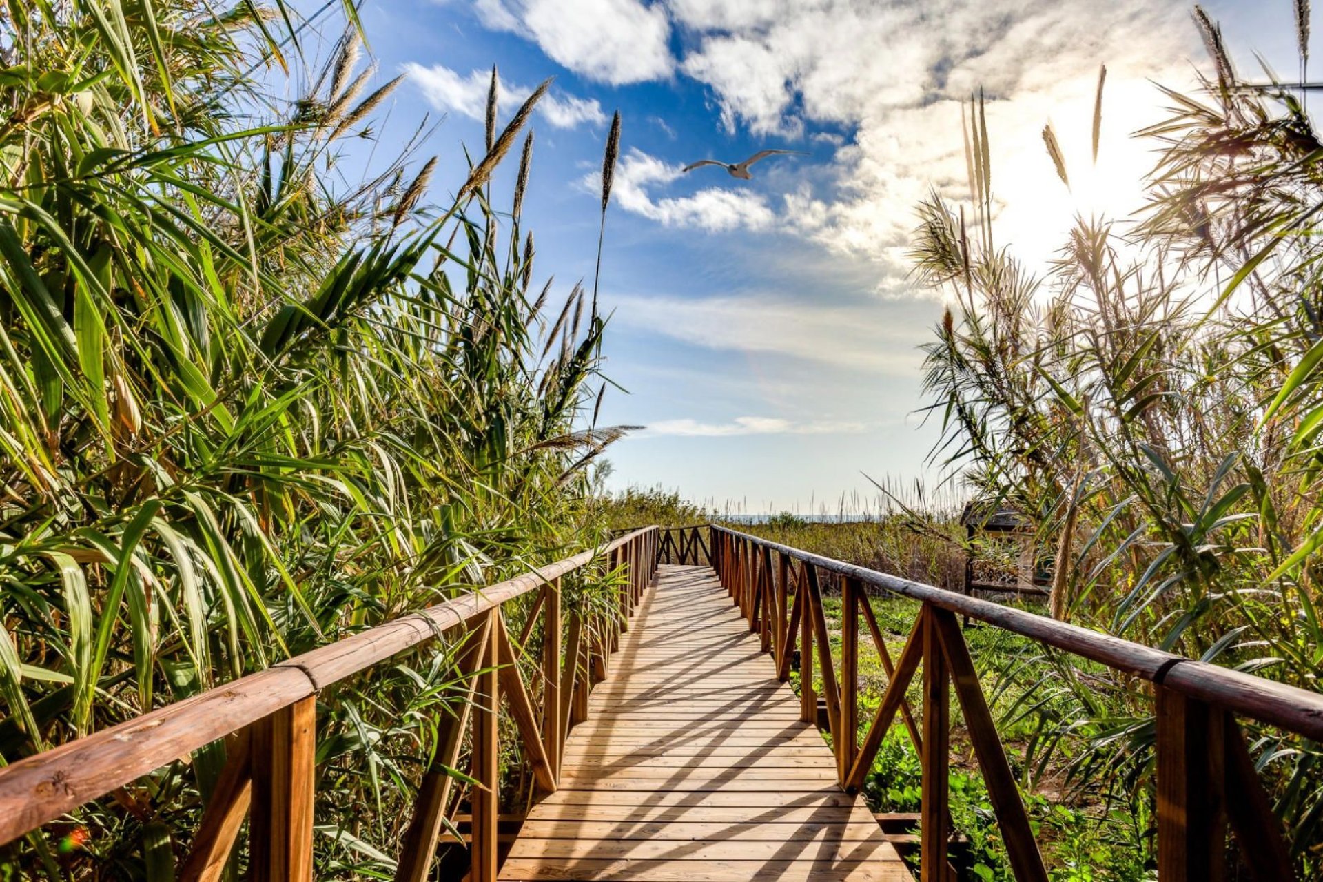 Resale - Apartment / flat -
Torrevieja - La Mata