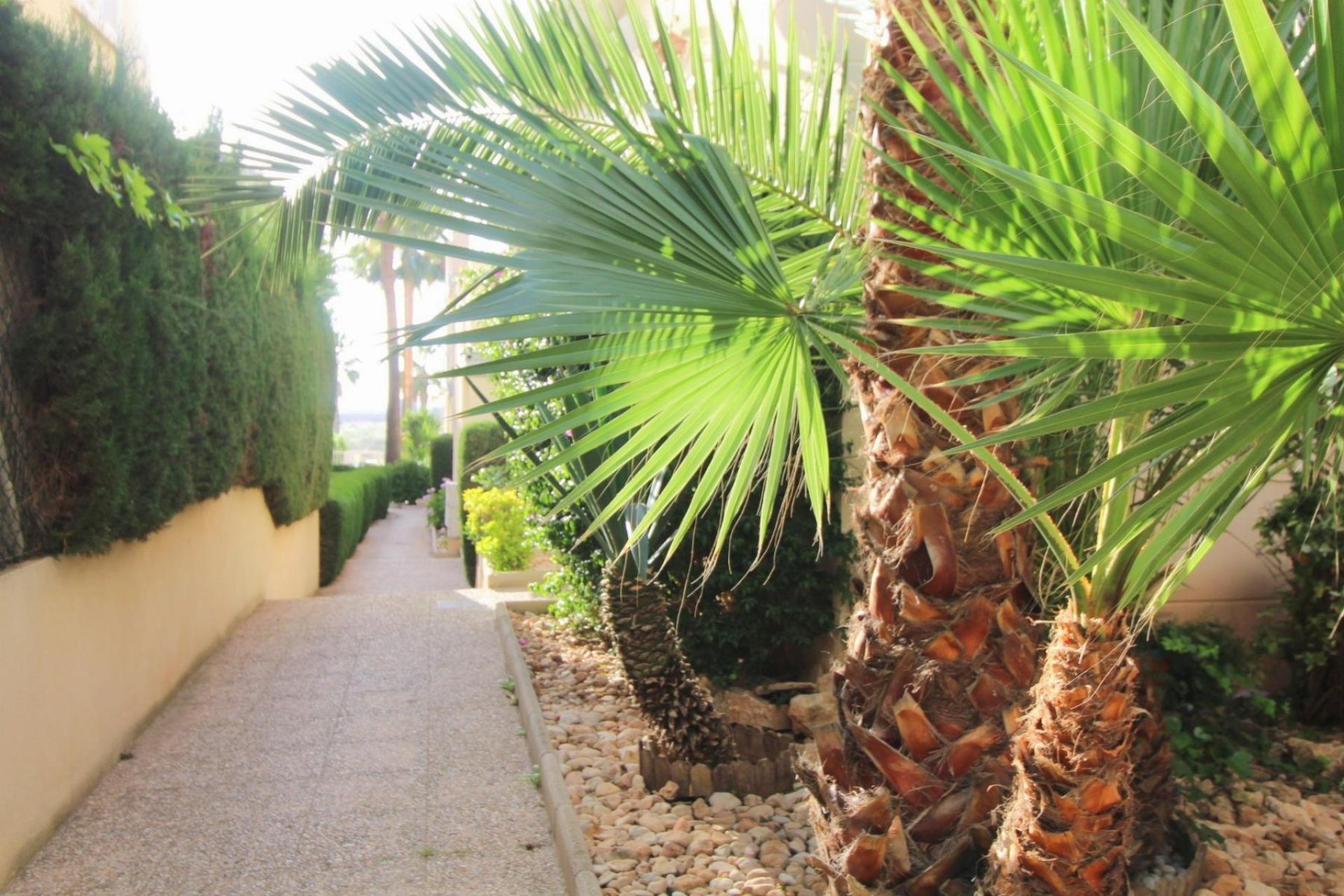 Resale - Apartment / flat -
Torrevieja - La Veleta