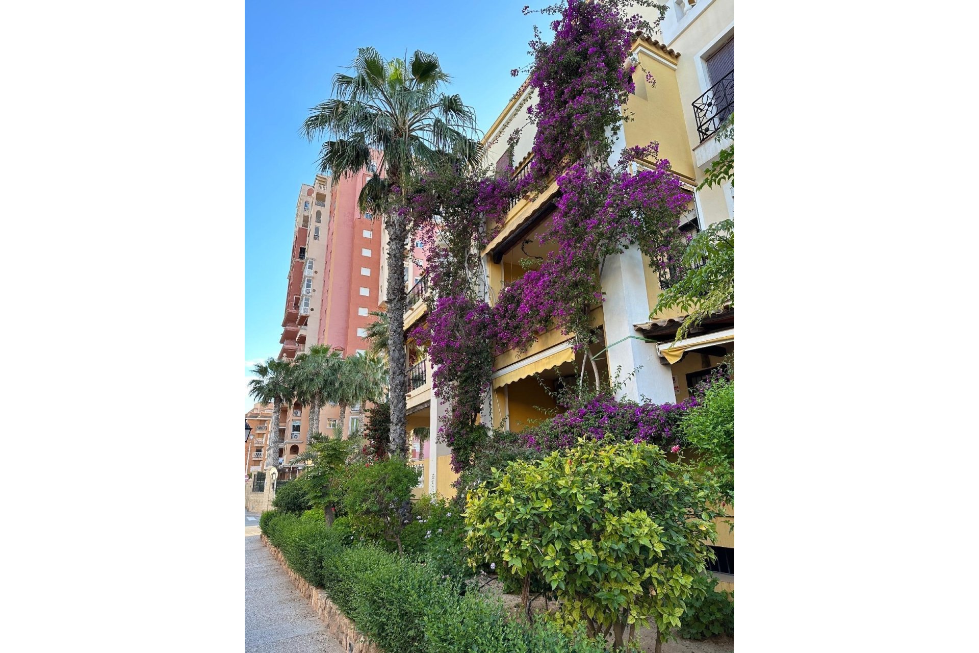 Resale - Apartment / flat -
Torrevieja - Playa de los Locos