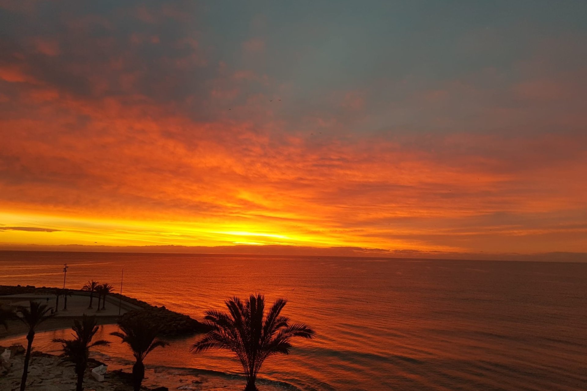 Resale - Apartment / flat -
Torrevieja - Playa Del Cura