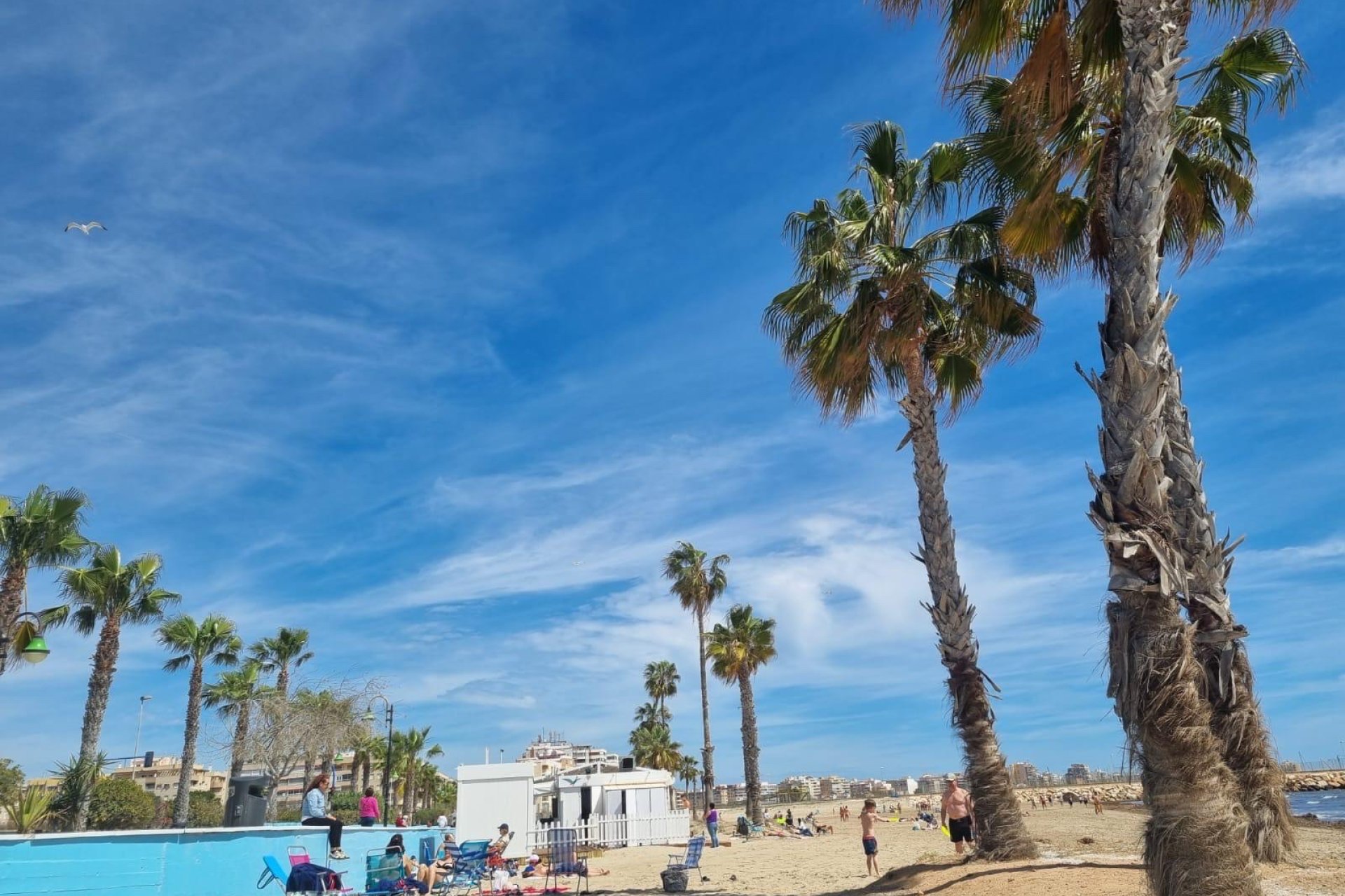 Resale - Apartment / flat -
Torrevieja - Playa Los Naufragos