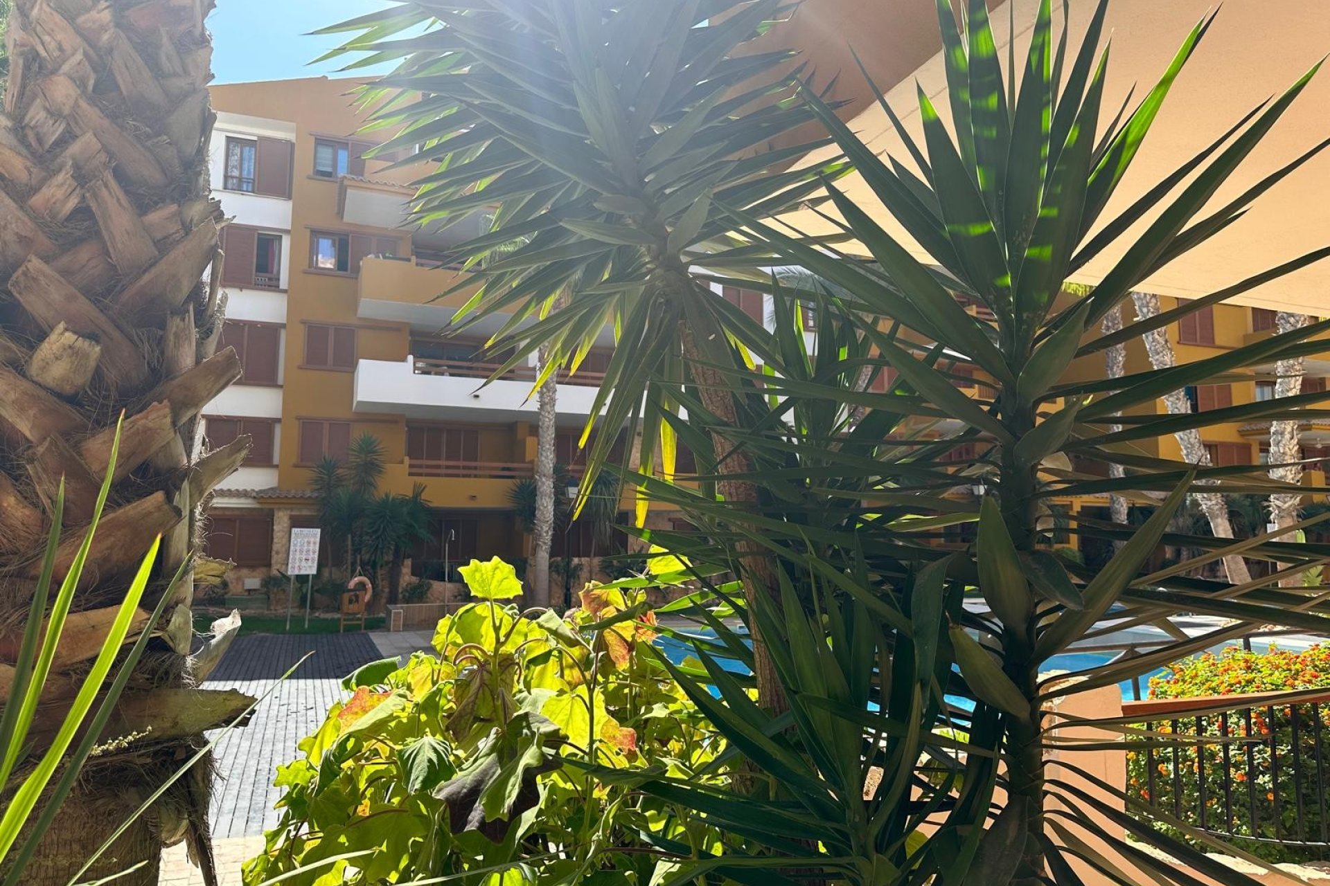 Resale - Apartment / flat -
Torrevieja - Punta prima