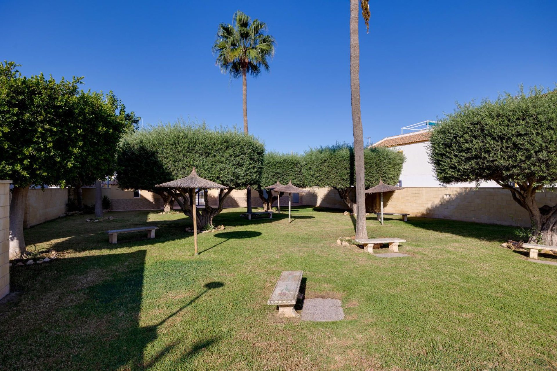 Resale - Bungalow -
Torrevieja - Carrefour