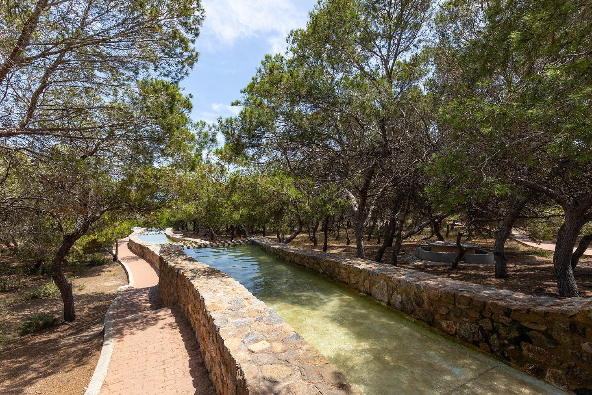 Resale - Bungalow -
Torrevieja - La Mata