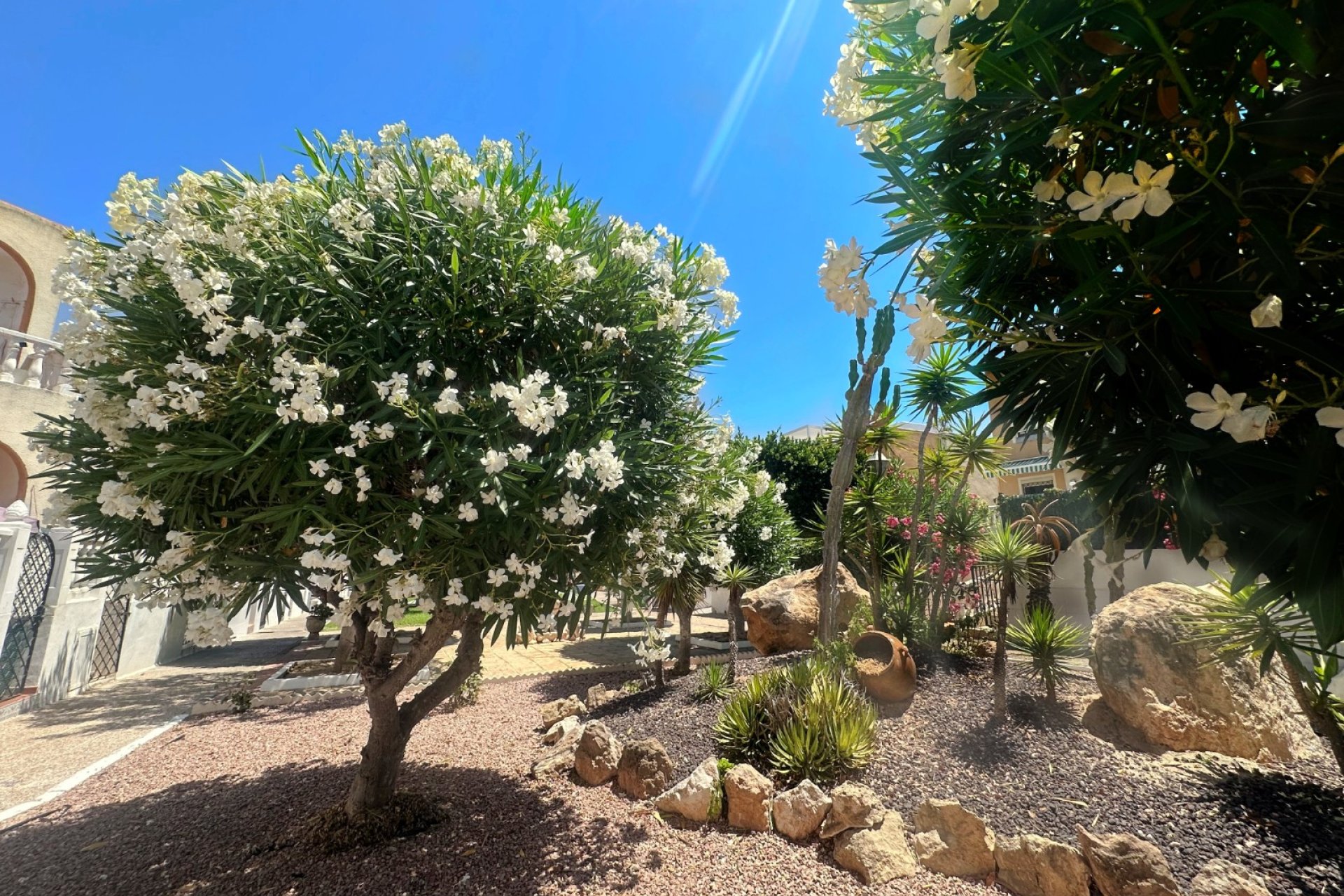Resale - Bungalow -
Torrevieja - La Mata