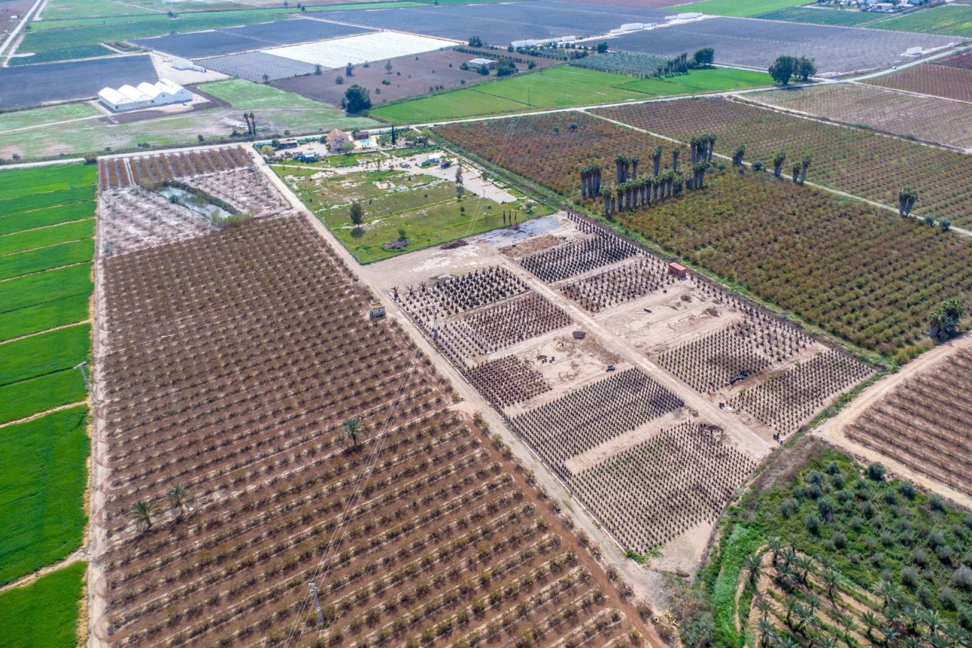 Resale - Country House -
Albatera - Albatera - Country