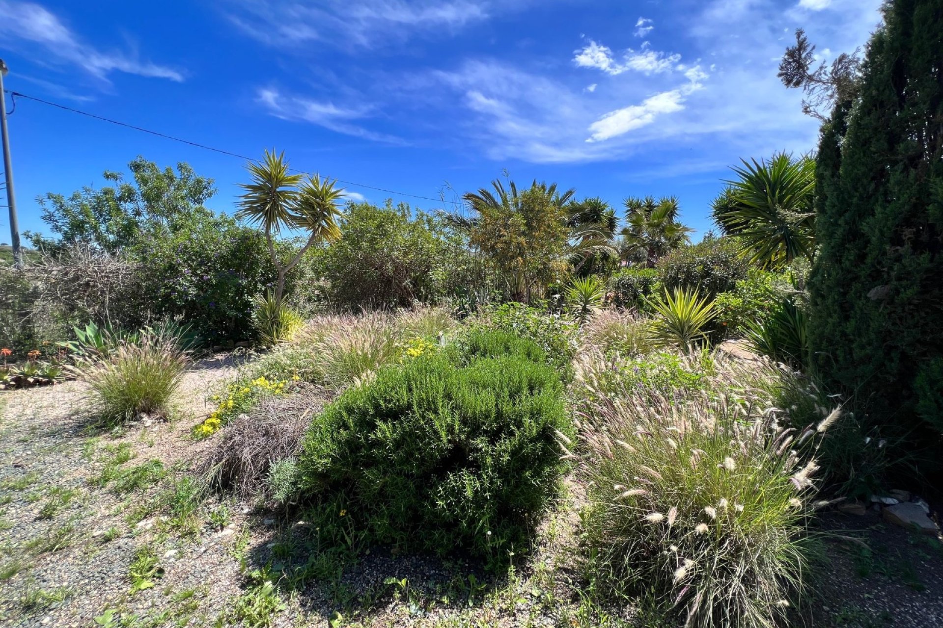 Resale - Country House -
Cartagena