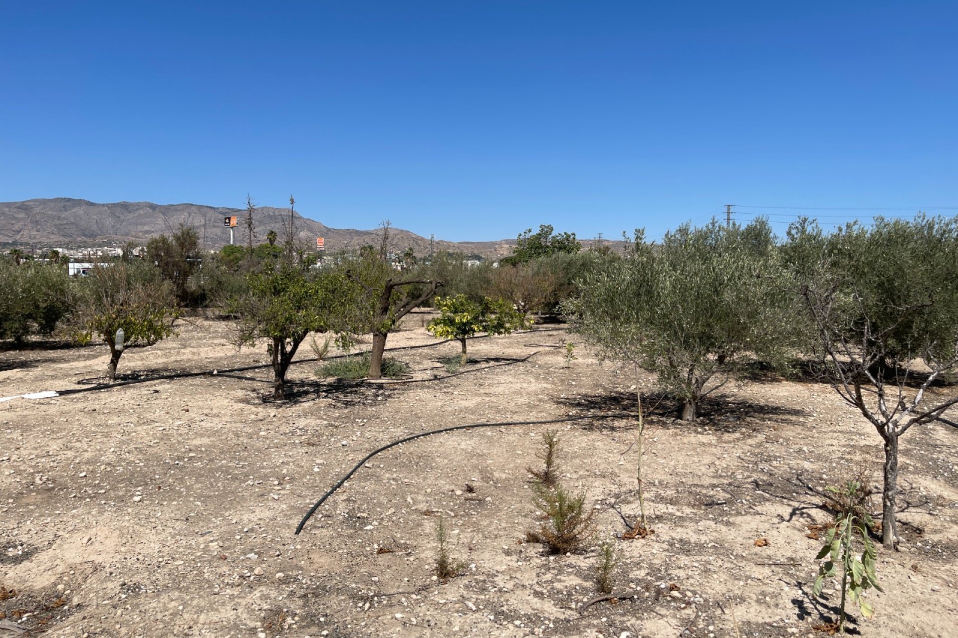 Resale - Country House -
Crevillente - Crevillente - Country