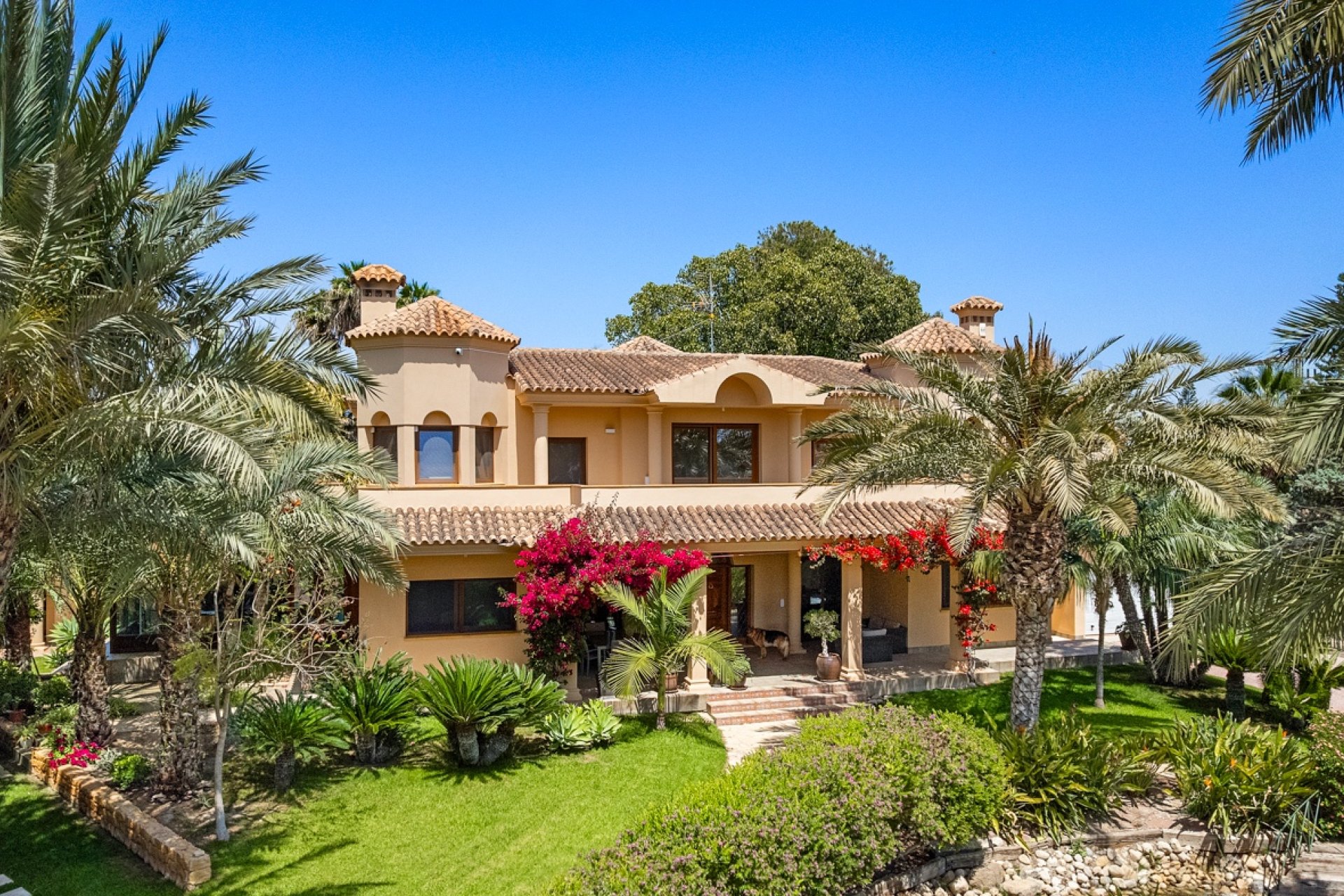 Resale - Country House -
Elche - Elche - Country