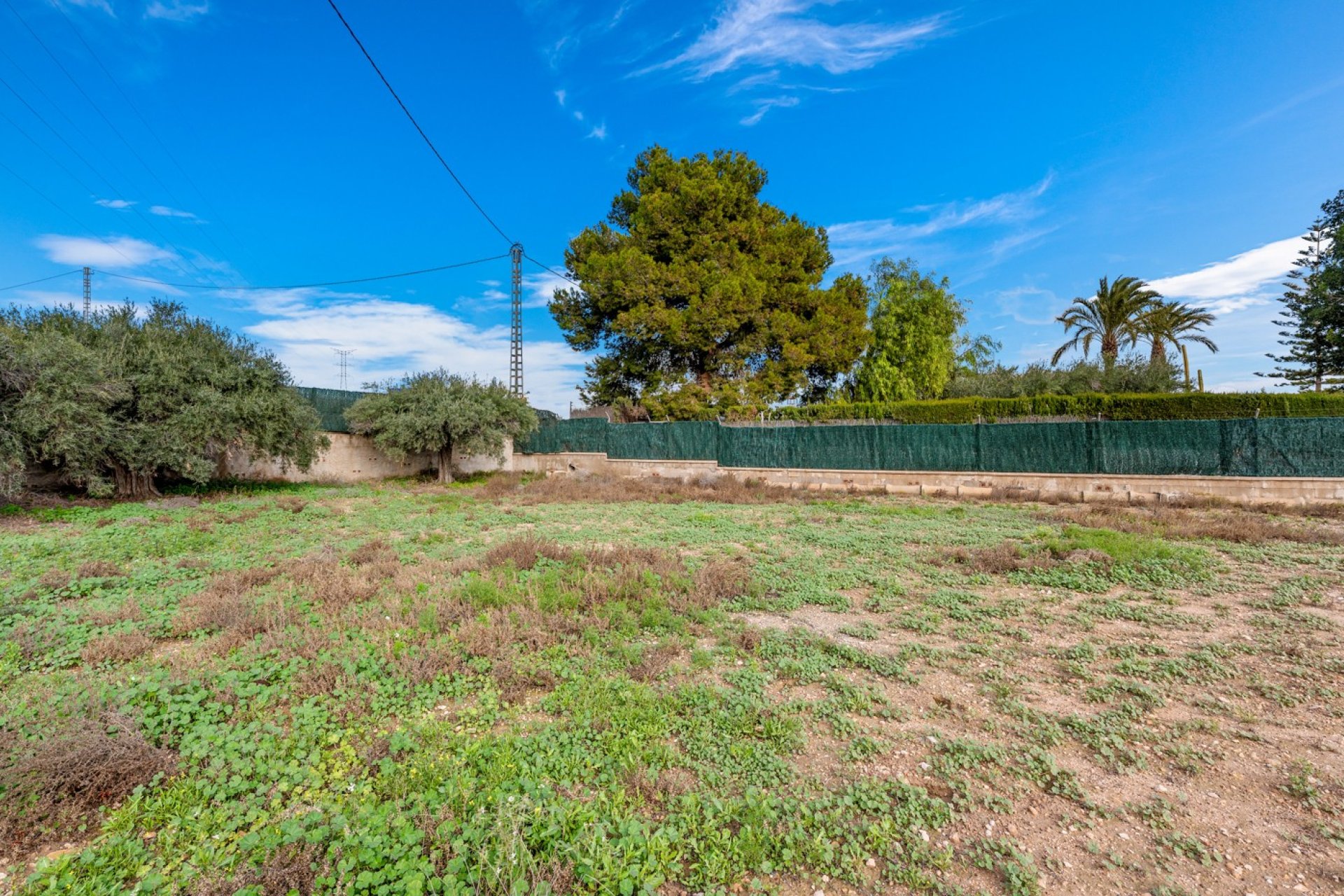 Resale - Country House -
Elche - Elche - Country