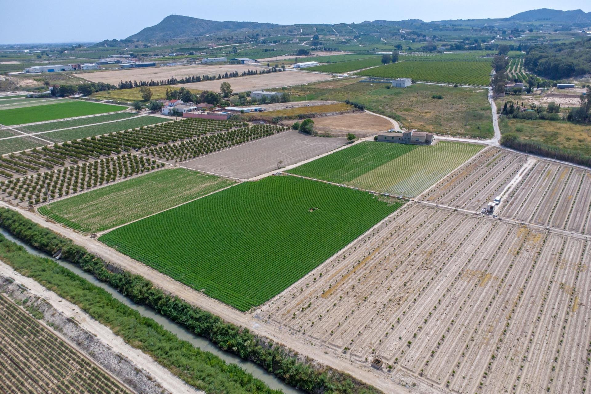 Resale - Country House -
Orihuela - Los Desamparados