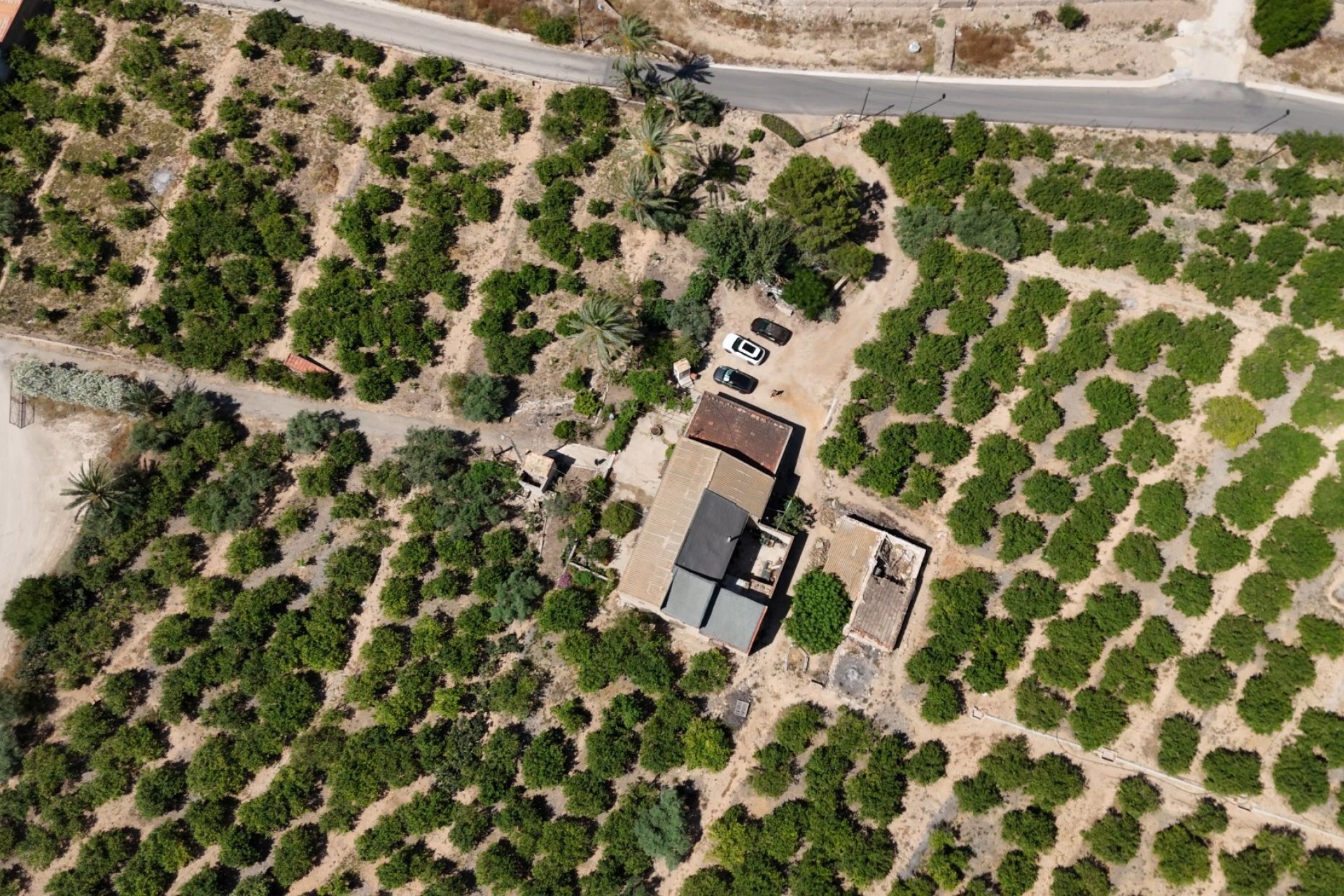 Resale - Country House -
Orihuela - Raiguero de Bonanza