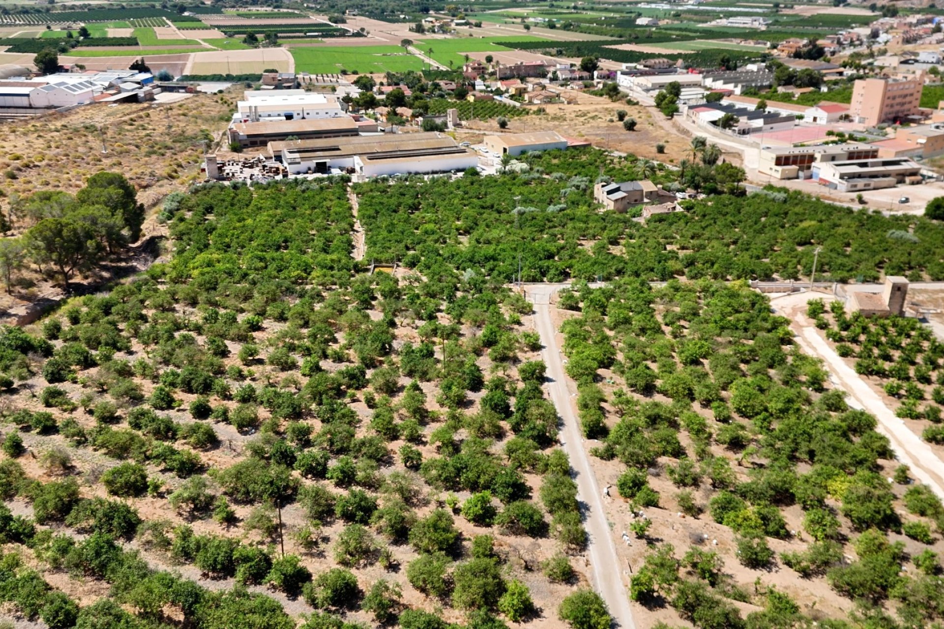 Resale - Country House -
Orihuela - Raiguero de Bonanza
