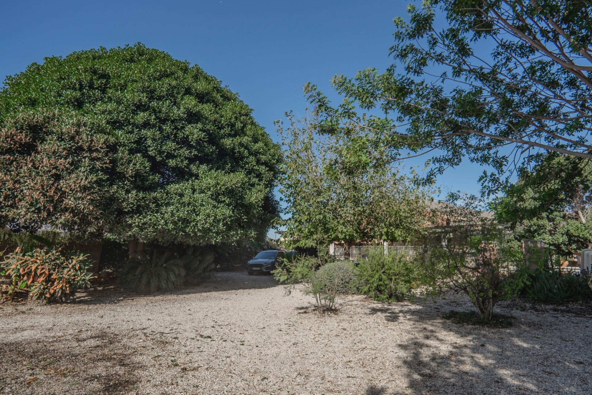 Resale - Country House -
Orihuela - San Bartolome