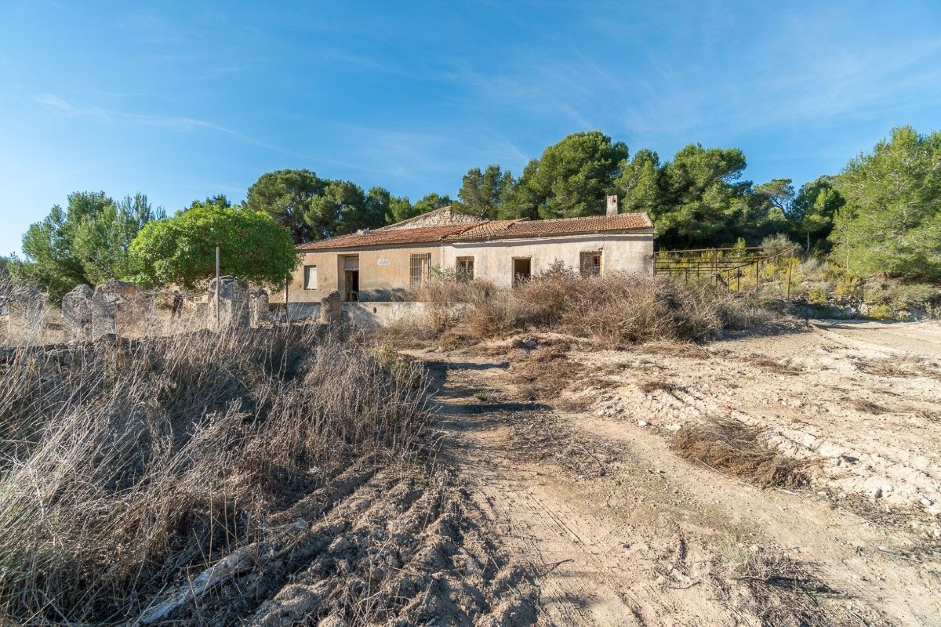 Resale - Finca -
Pilar de la Horadada - Pinar de la Perdiz