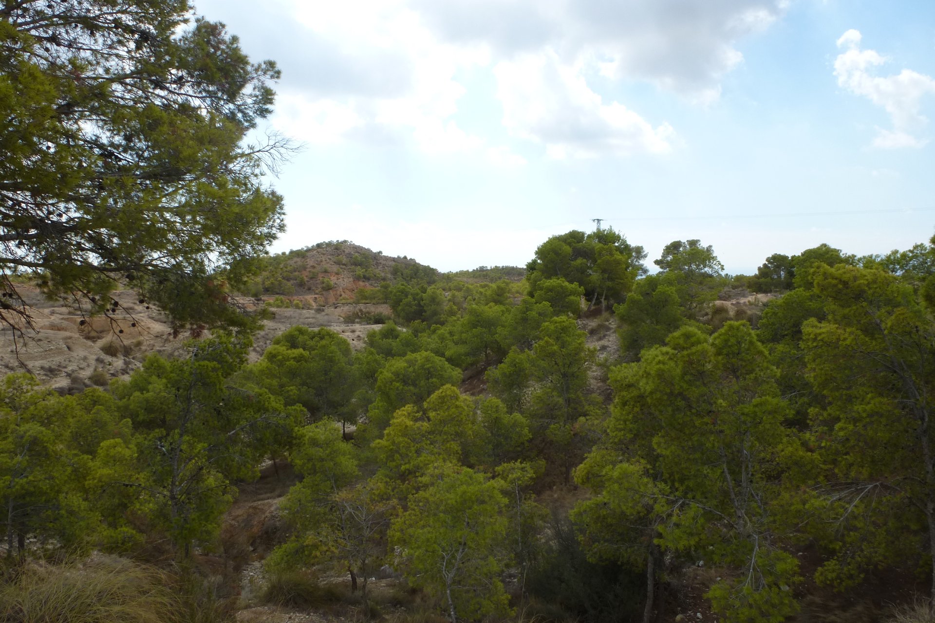 Resale - Plot / Land -
Crevillente - Crevillente - Country