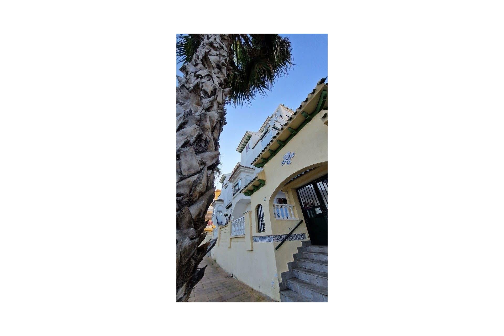 Resale - Study -
Torrevieja - Torre La Mata