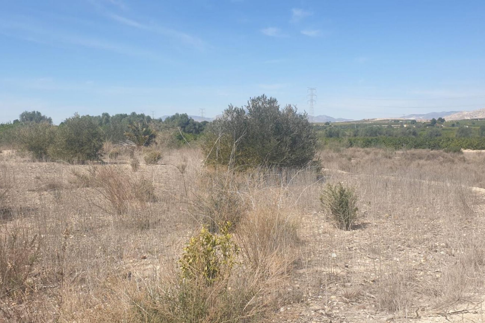 Resale - Terreno -
Benferri - HUERTA PUEBLO