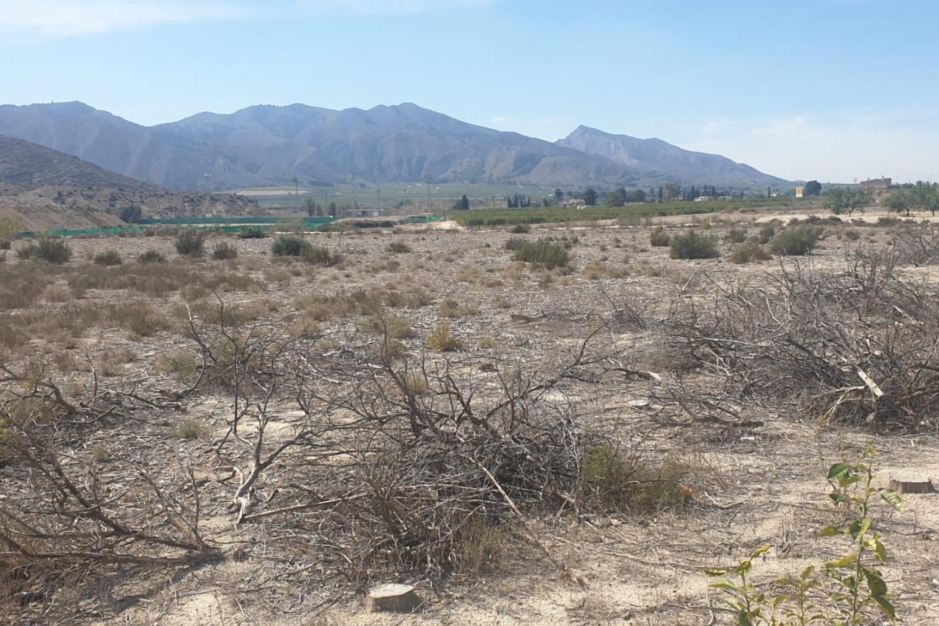 Resale - Terreno -
Benferri - HUERTA PUEBLO