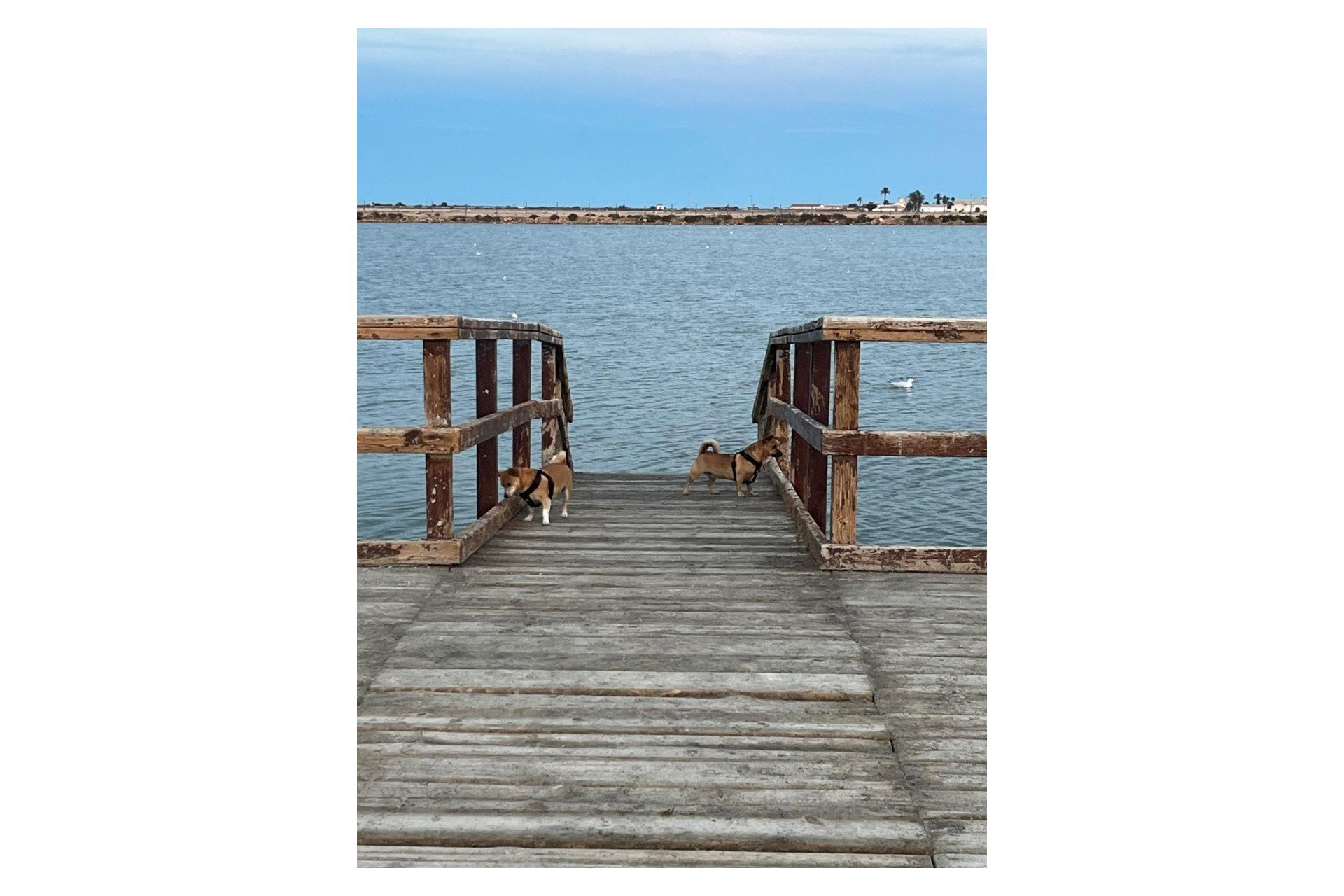 Resale - Townhouse -
San Pedro del Pinatar - Los Antolinos