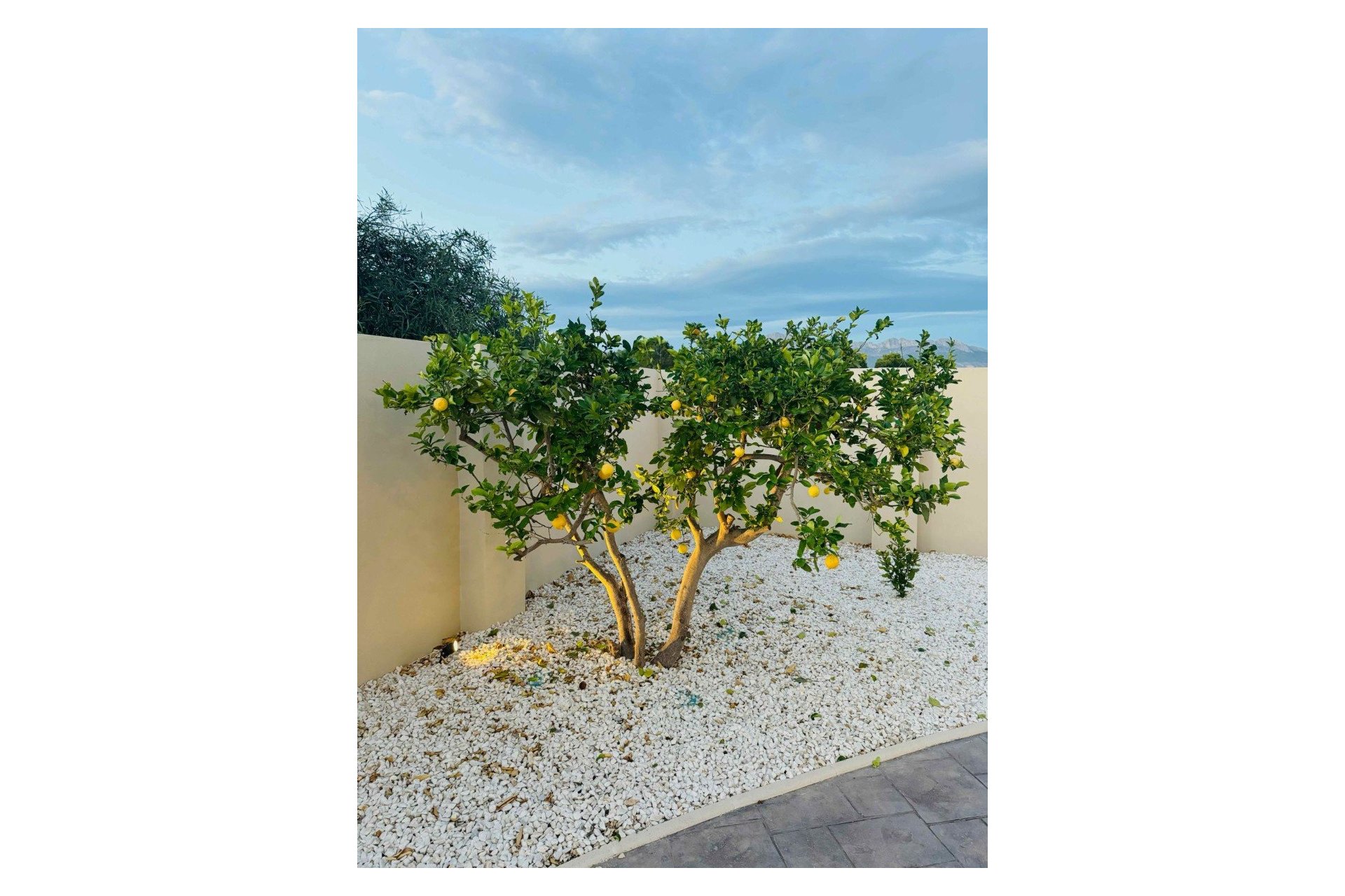 Resale - Villa -
Alfas del Pí - pueblo