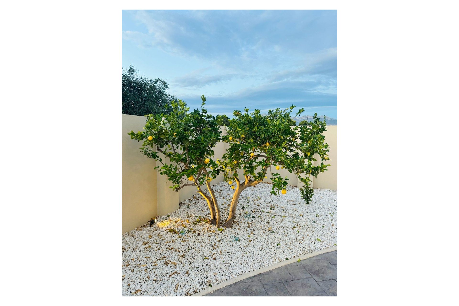 Resale - Villa -
Alfas del Pí - pueblo