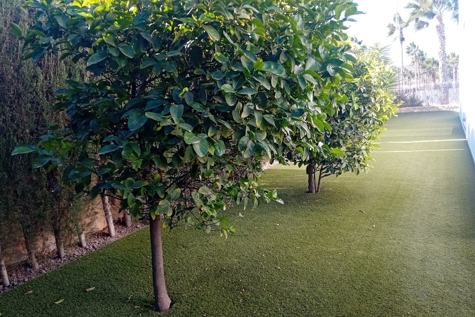 Resale - Villa -
Algorfa - La Finca Golf Resort