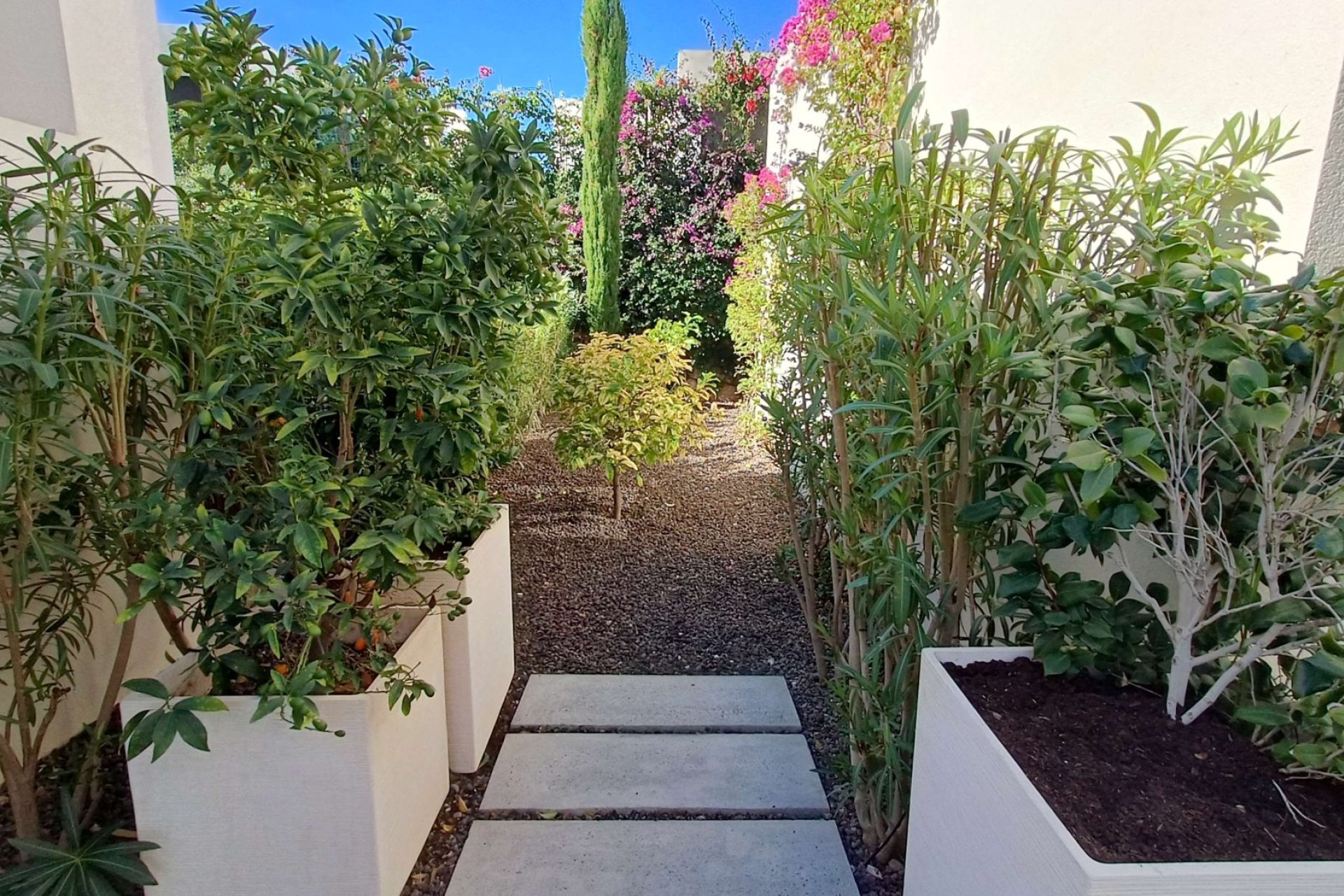 Resale - Villa -
Algorfa - La Finca Golf Resort