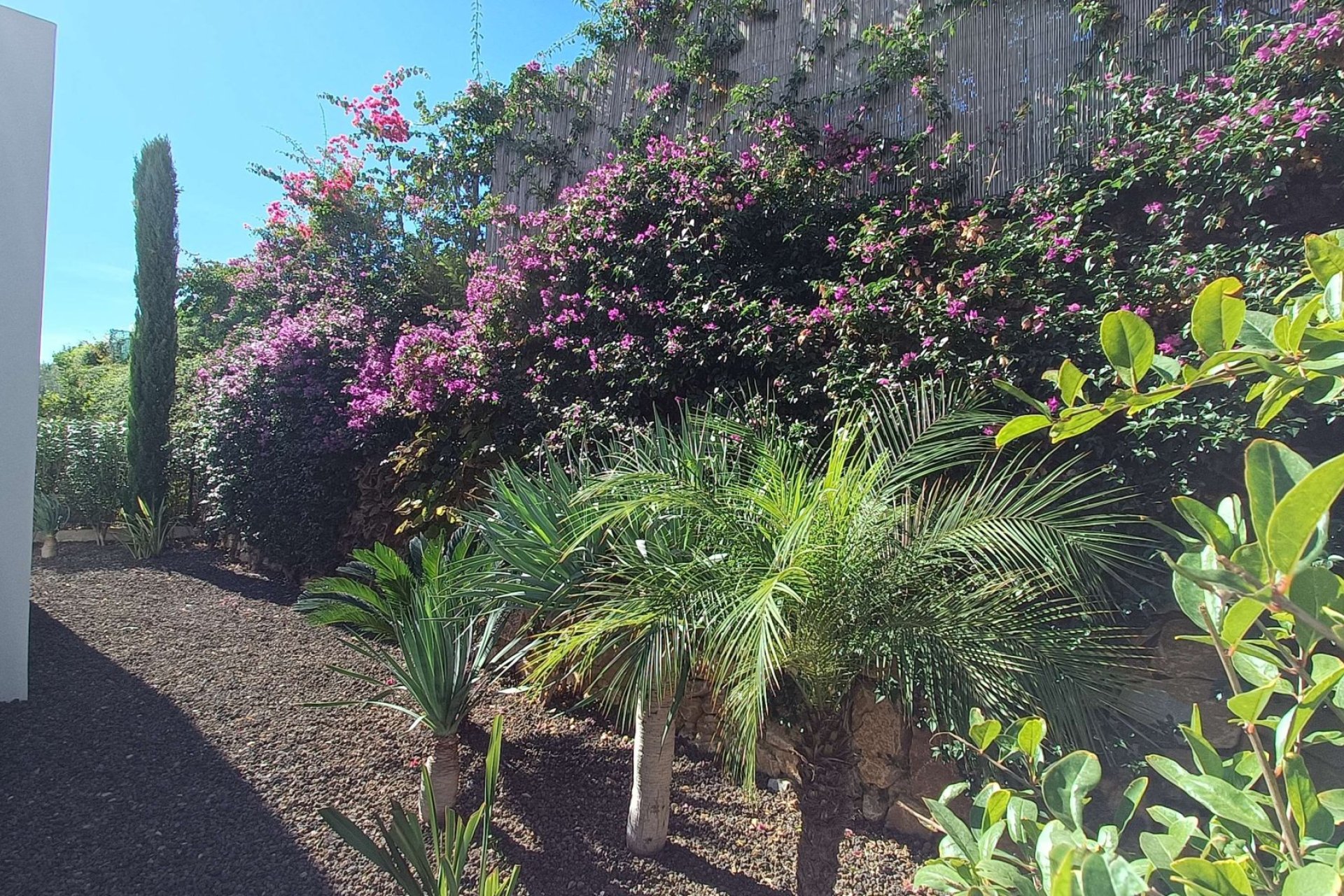 Resale - Villa -
Algorfa - La Finca Golf Resort