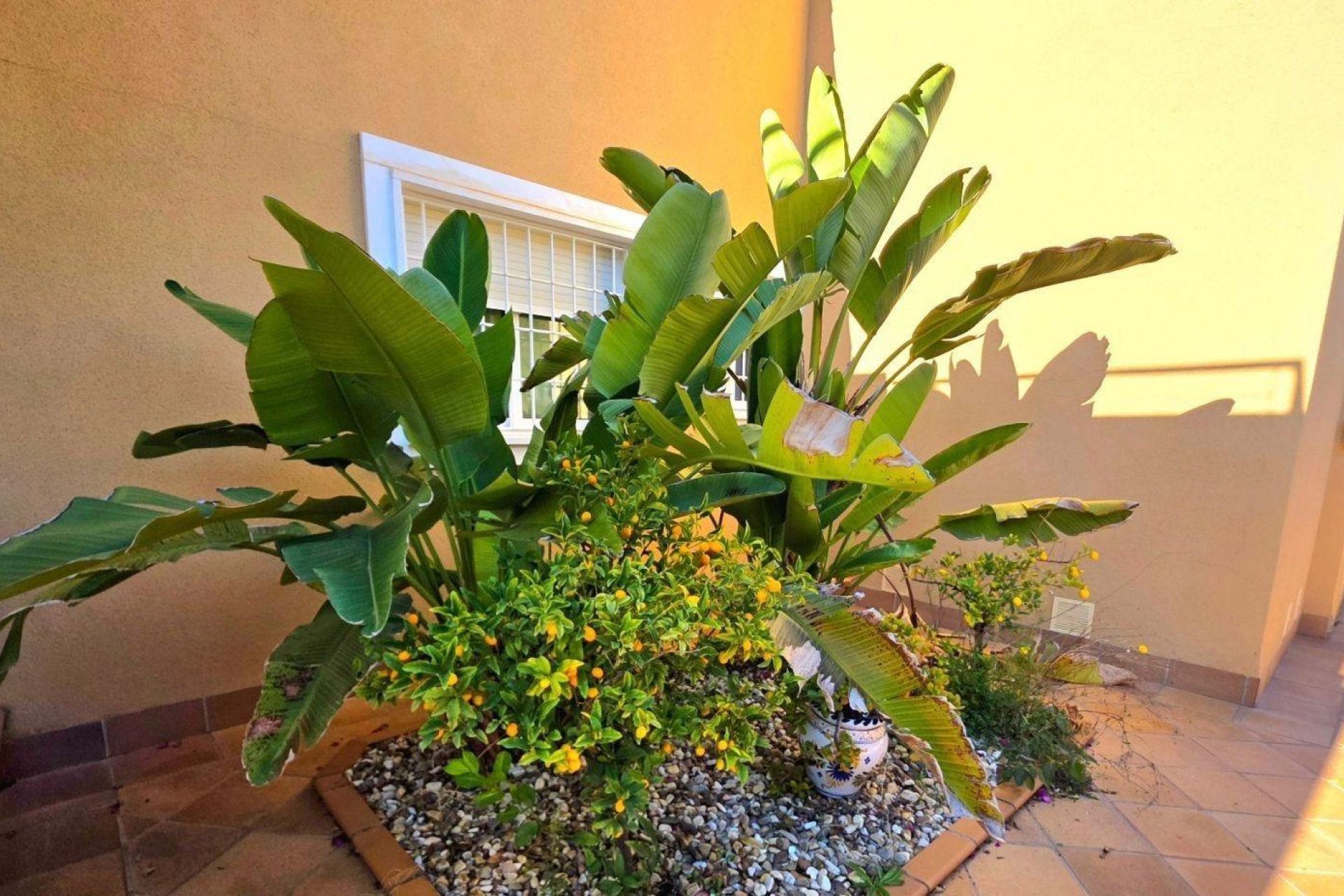 Resale - Villa -
Dehesa de campoamor - Campoamor