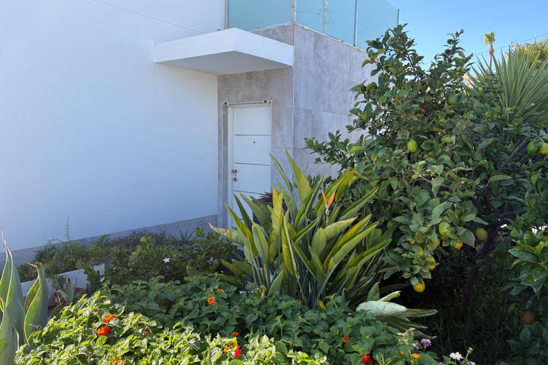 Resale - Villa / House -
Torrevieja - La Siesta