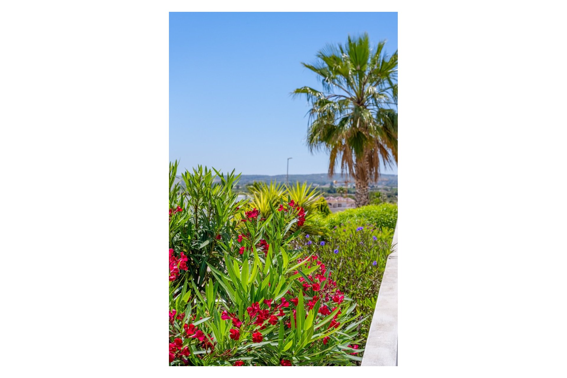 Resale - Villa -
La Marina - La Marina - Urbanization