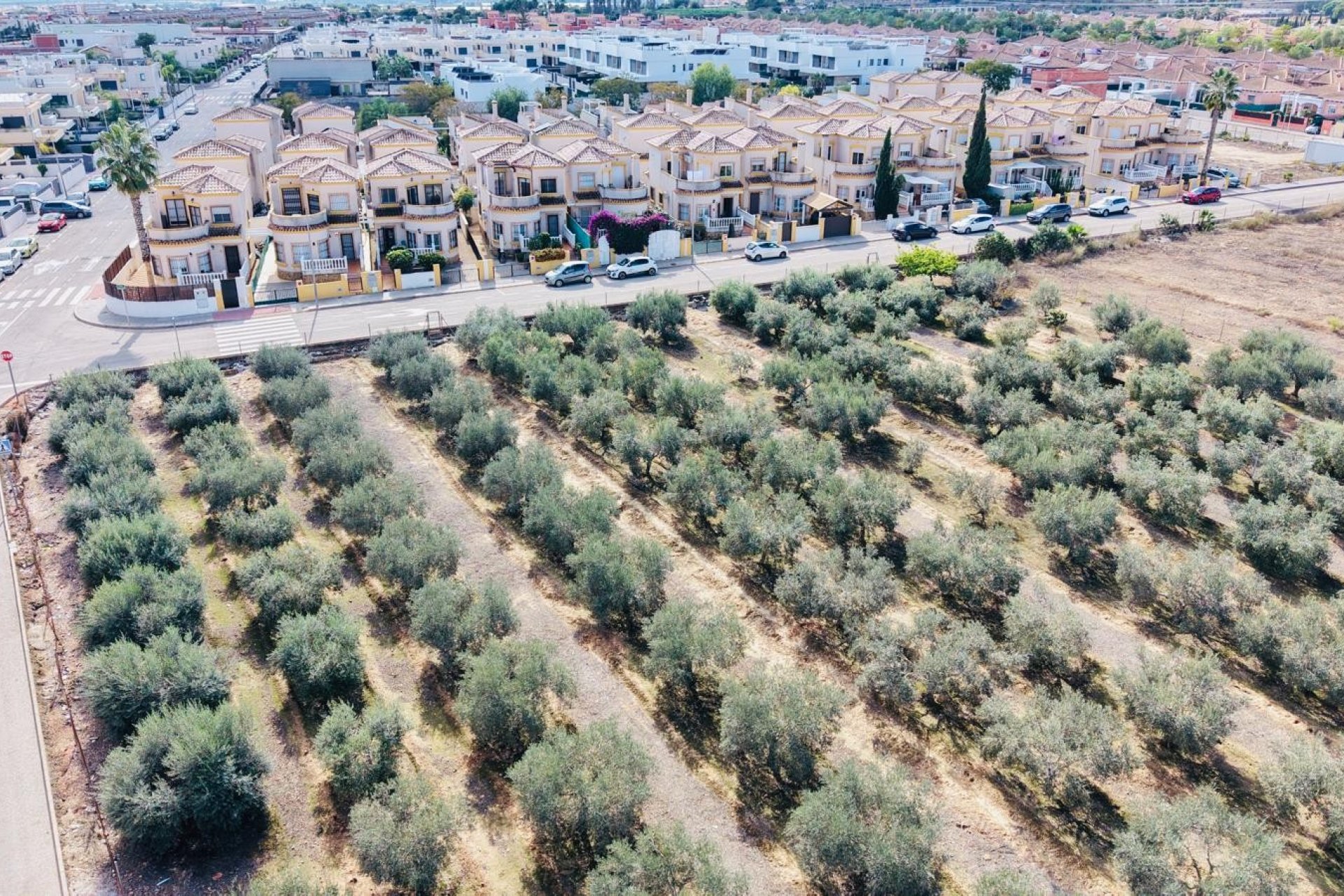 Resale - Villa -
Los Montesinos - La Herrada