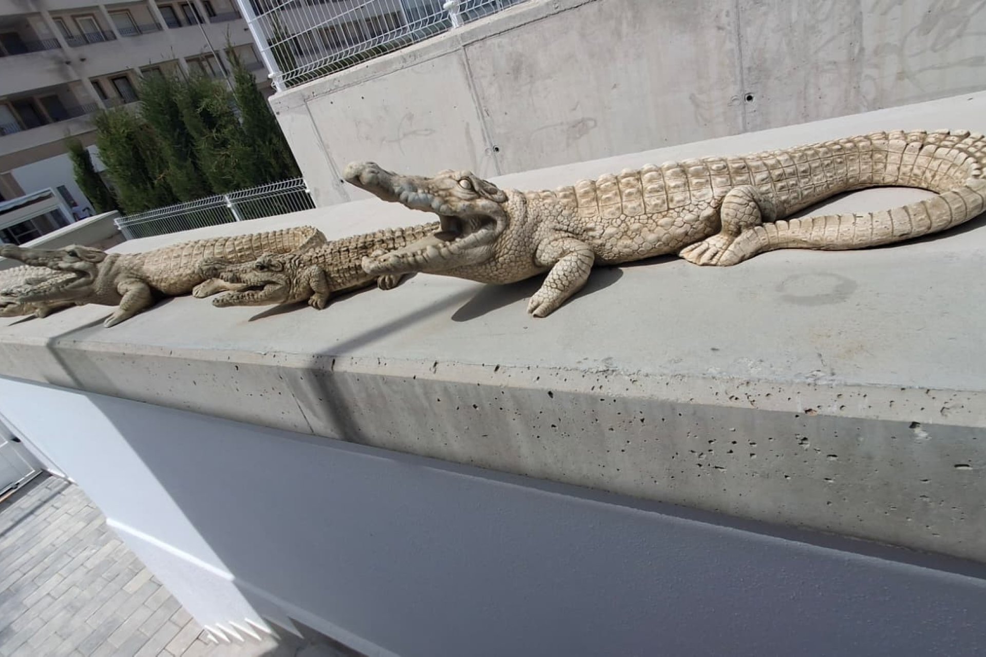 Resale - Villa -
Orihuela - Entre Naranjos Vistabella Golf